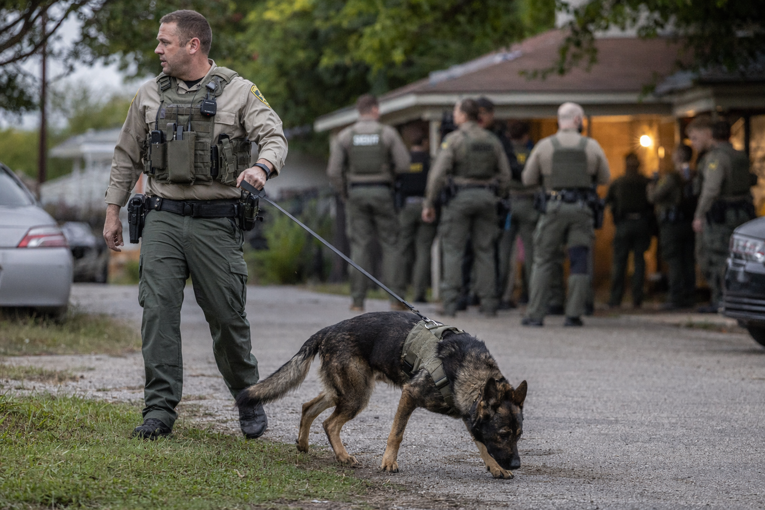 K9 helps Coryell deputies capture wanted suspect after Copperas Cove ...