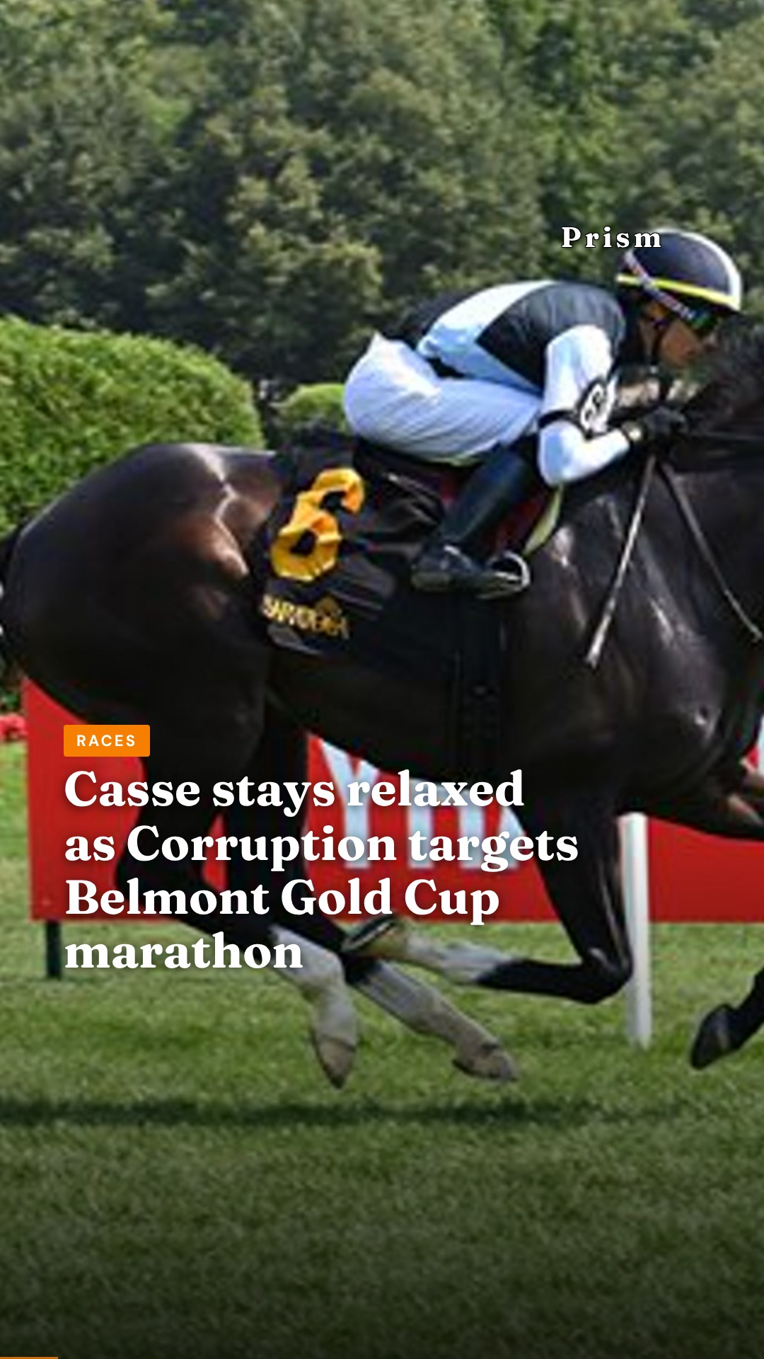 Casse stays relaxed as Corruption targets Belmont Gold Cup marathon
