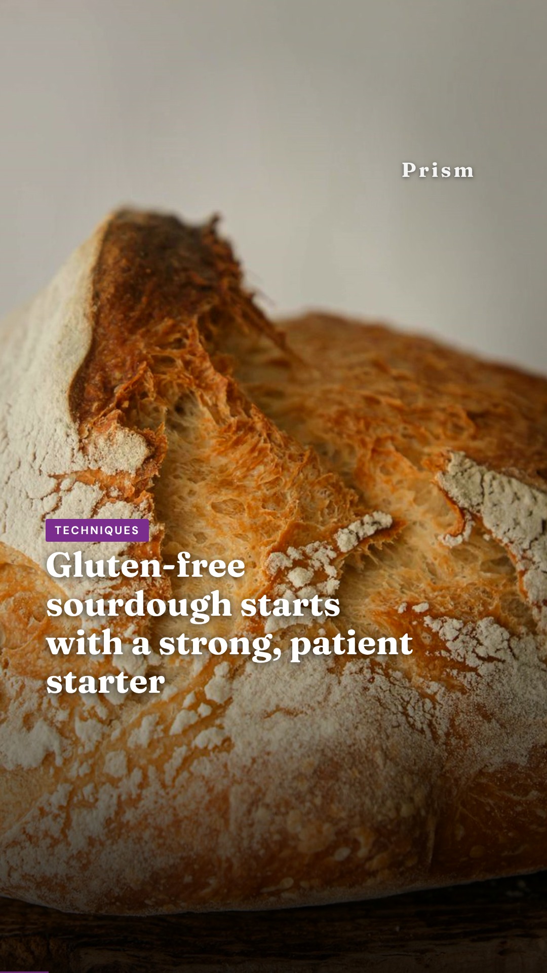 Gluten-free sourdough starts with a strong, patient starter