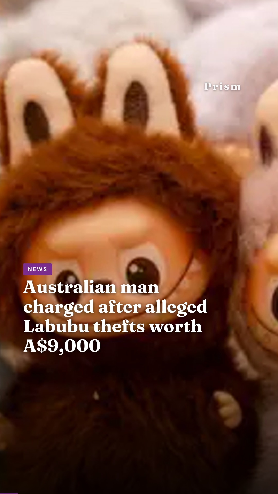 Australian man charged after alleged Labubu thefts worth A$9,000