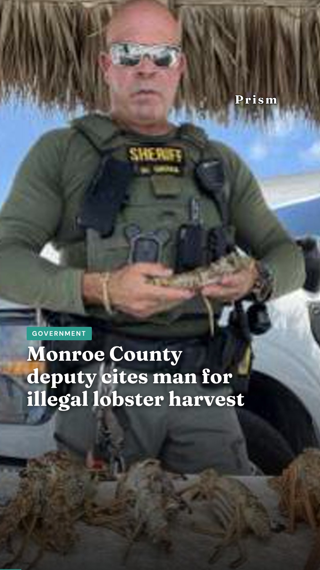 Monroe County deputy cites man for illegal lobster harvest
