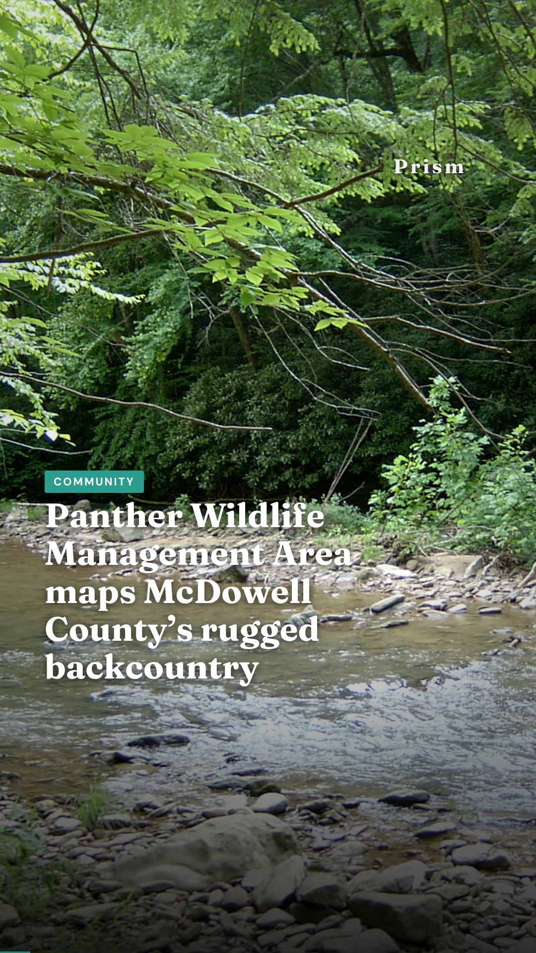 Panther Wildlife Management Area maps McDowell County’s rugged backcountry