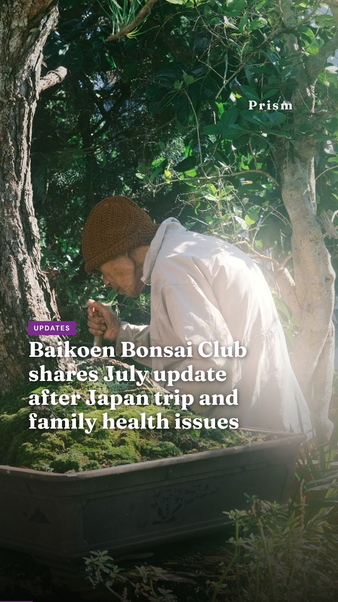 Baikoen Bonsai Club shares July update after Japan trip and family health issues