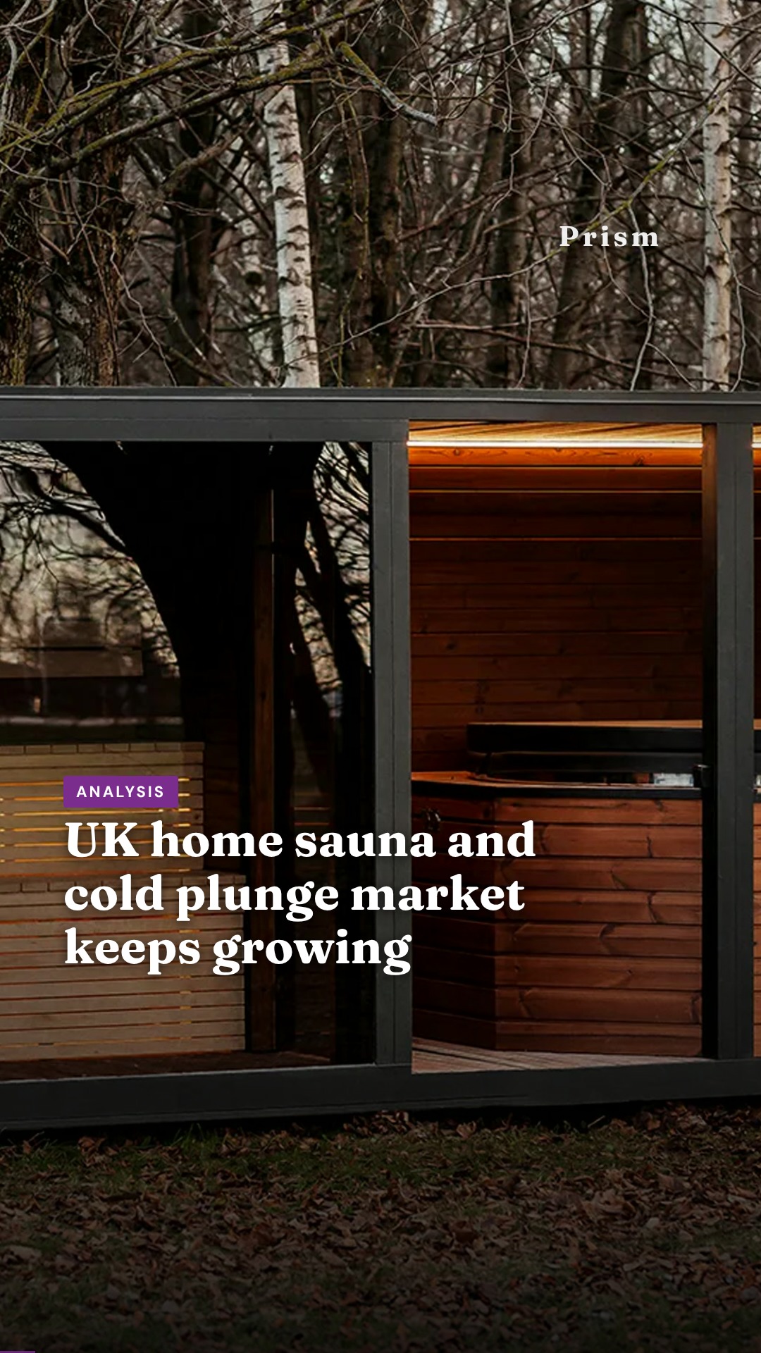 UK home sauna and cold plunge market keeps growing