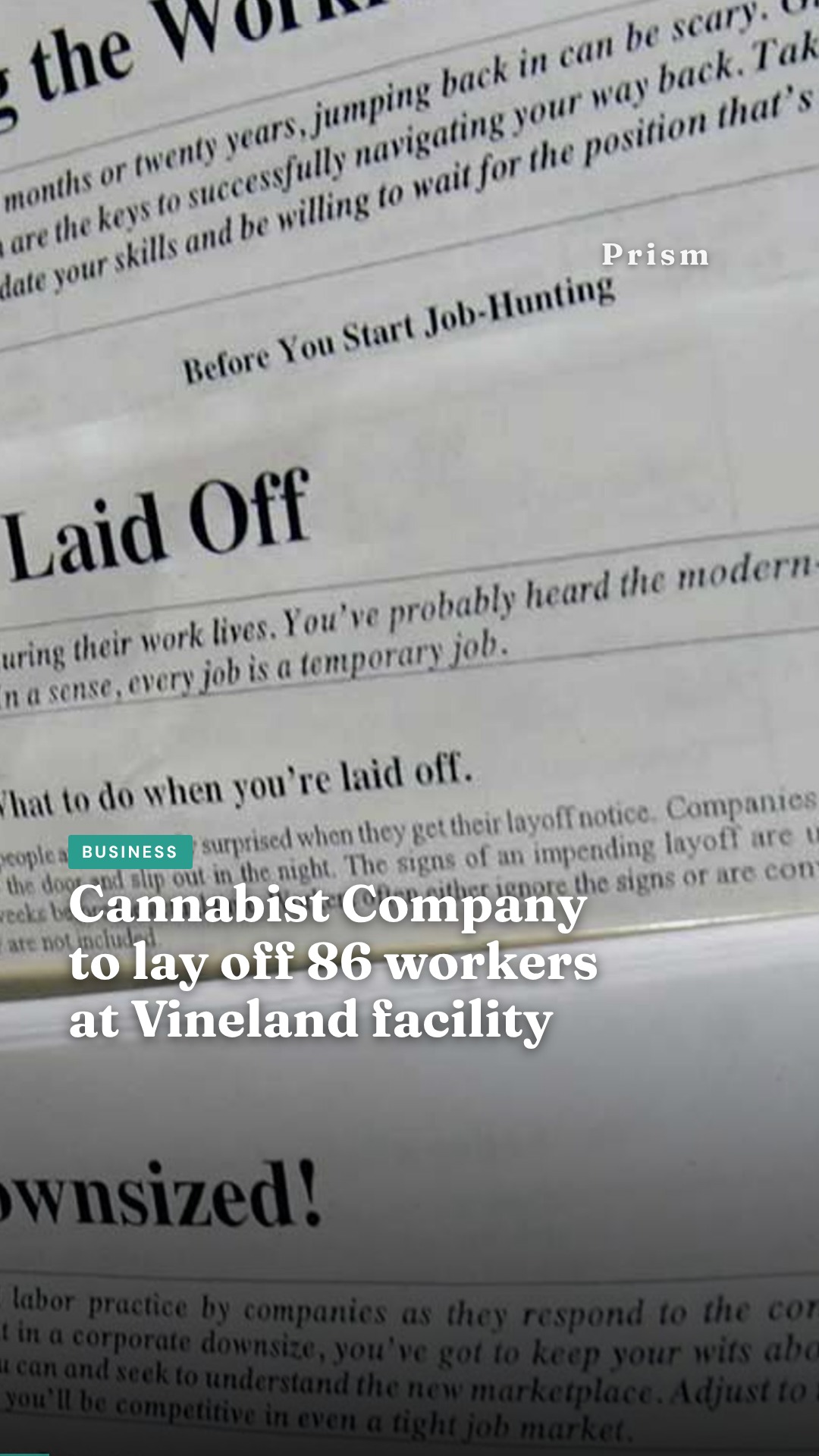 Cannabist Company to lay off 86 workers at Vineland facility
