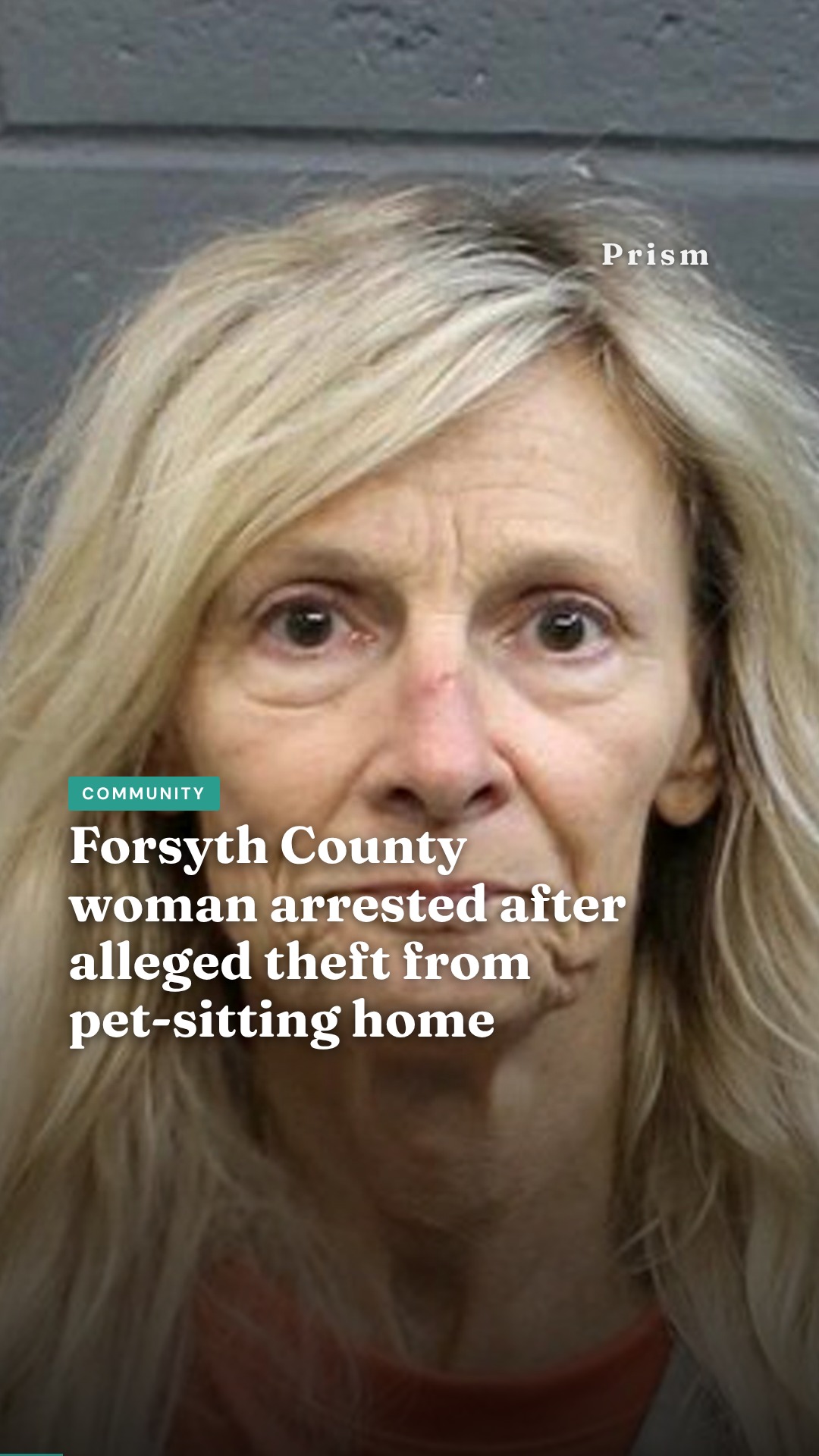 Forsyth County woman arrested after alleged theft from pet-sitting home