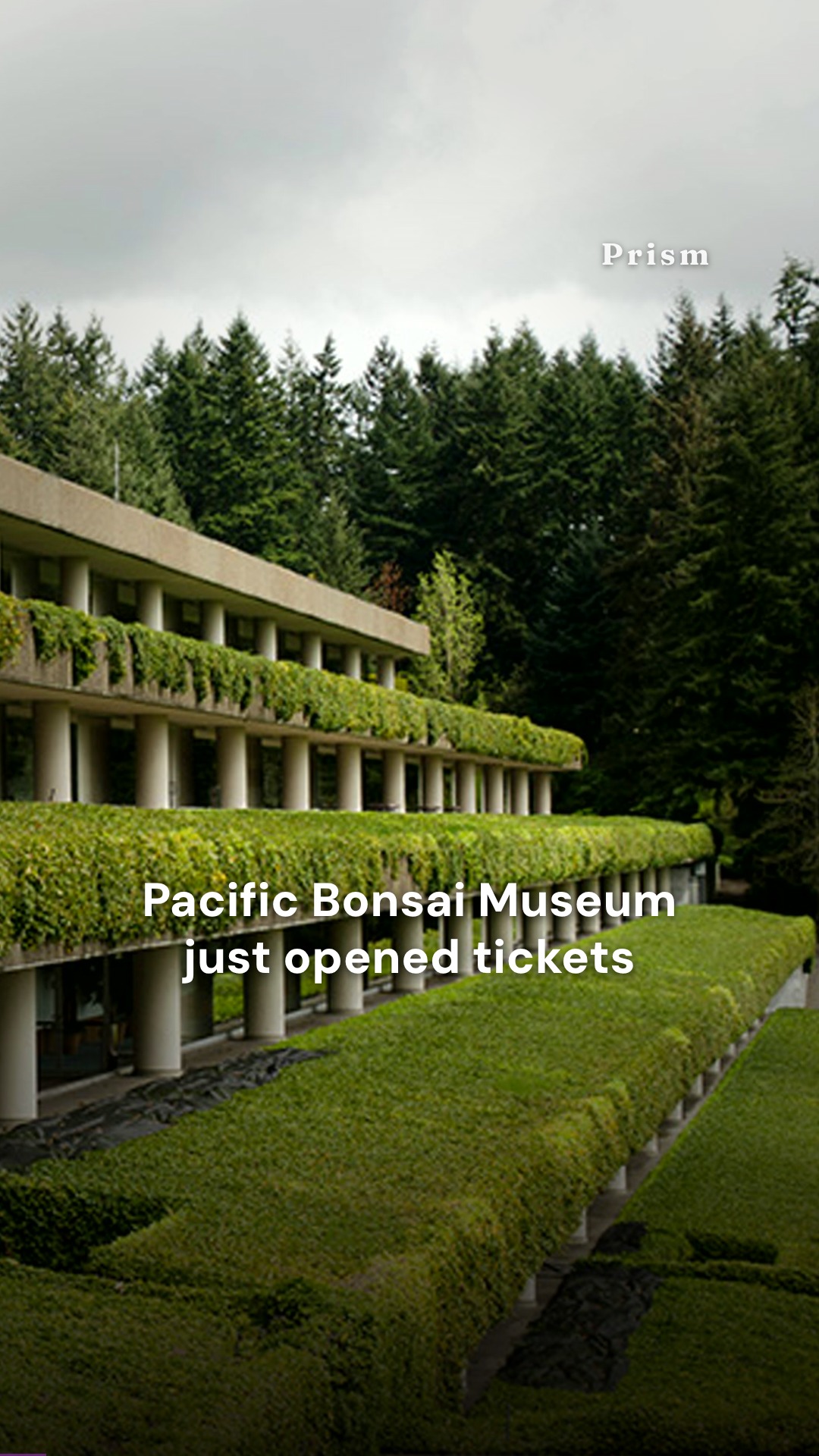 Pacific Bonsai Museum opens tickets for Branch Out 2025 fundraiser