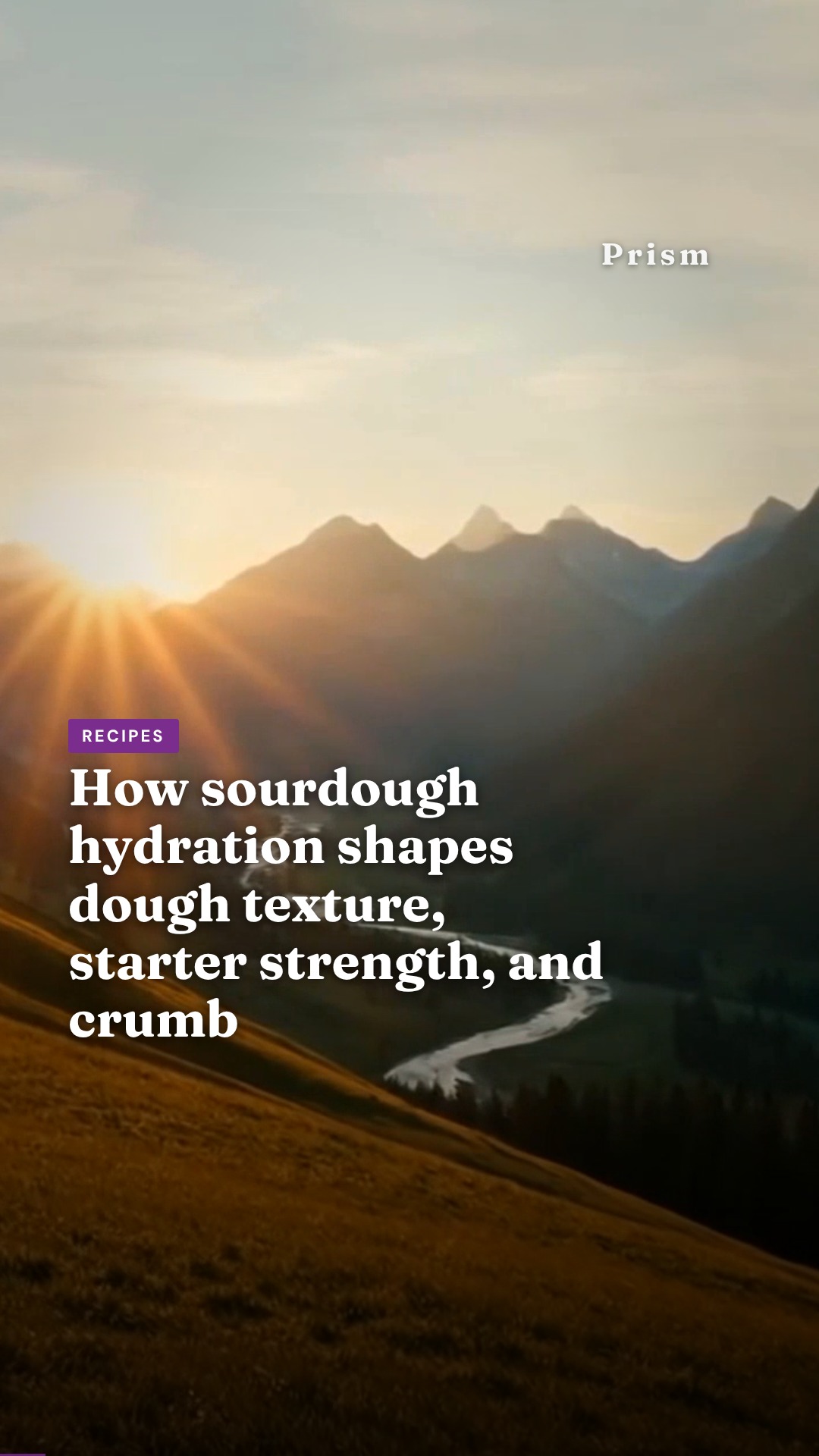How sourdough hydration shapes dough texture, starter strength, and crumb