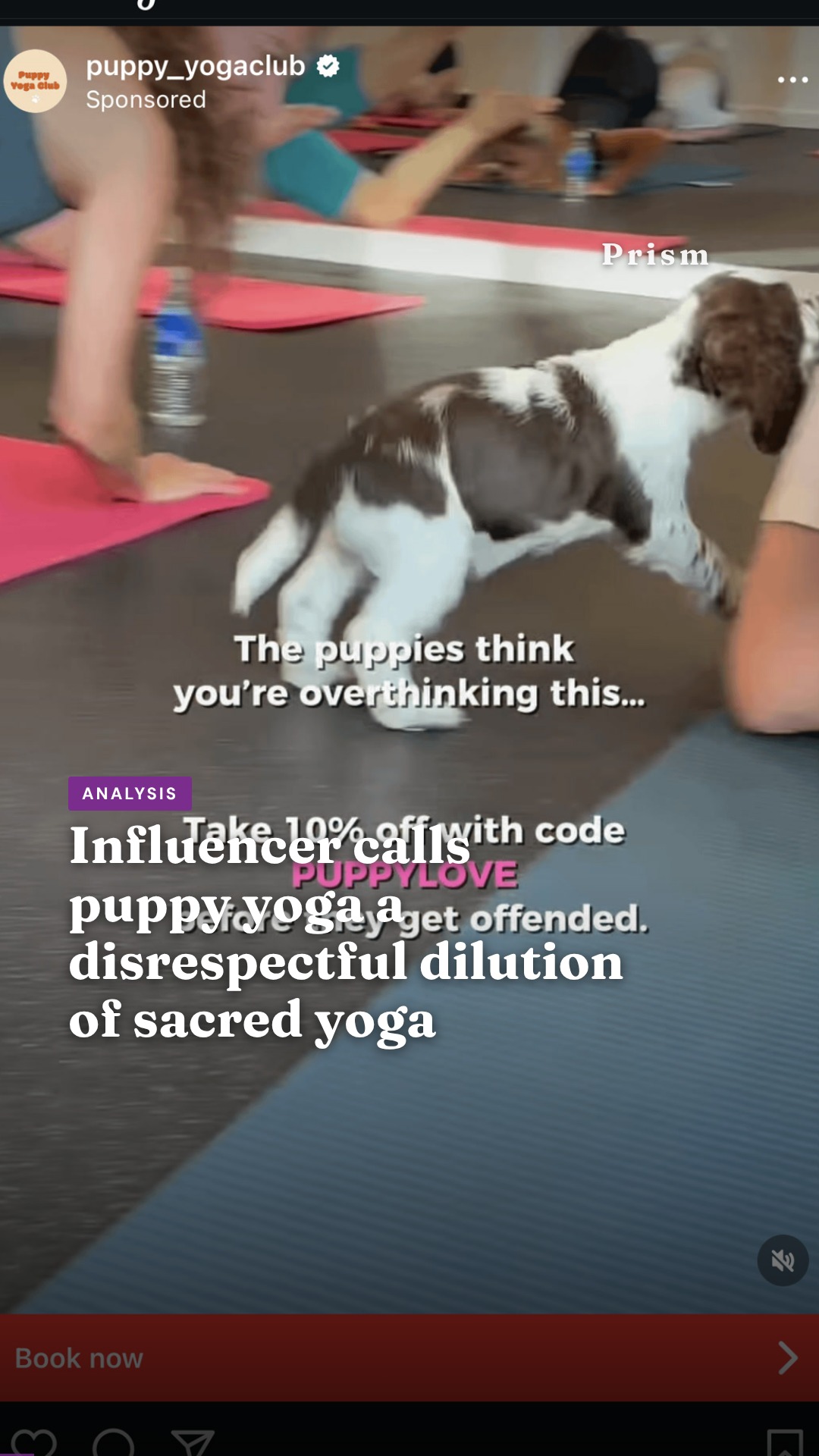 Influencer calls puppy yoga a disrespectful dilution of sacred yoga