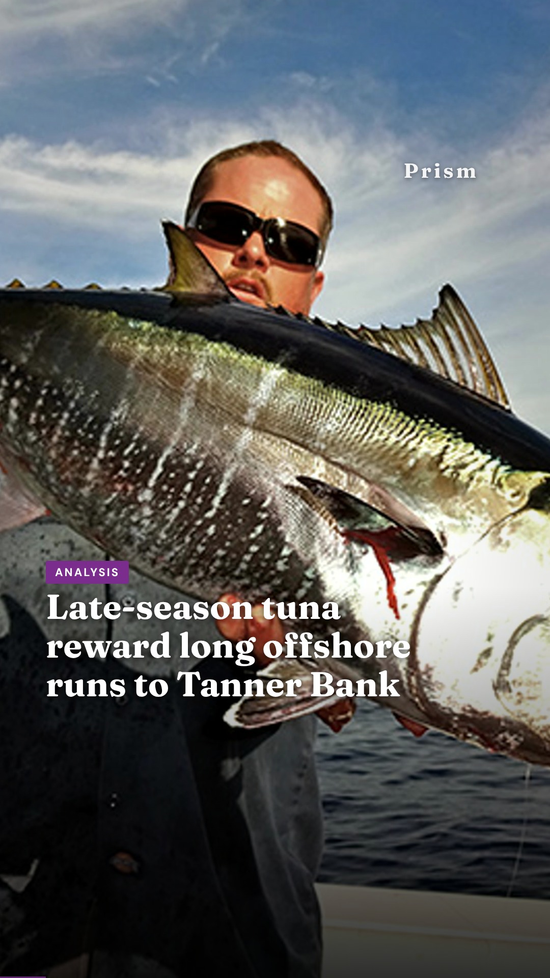 Late-season tuna reward long offshore runs to Tanner Bank