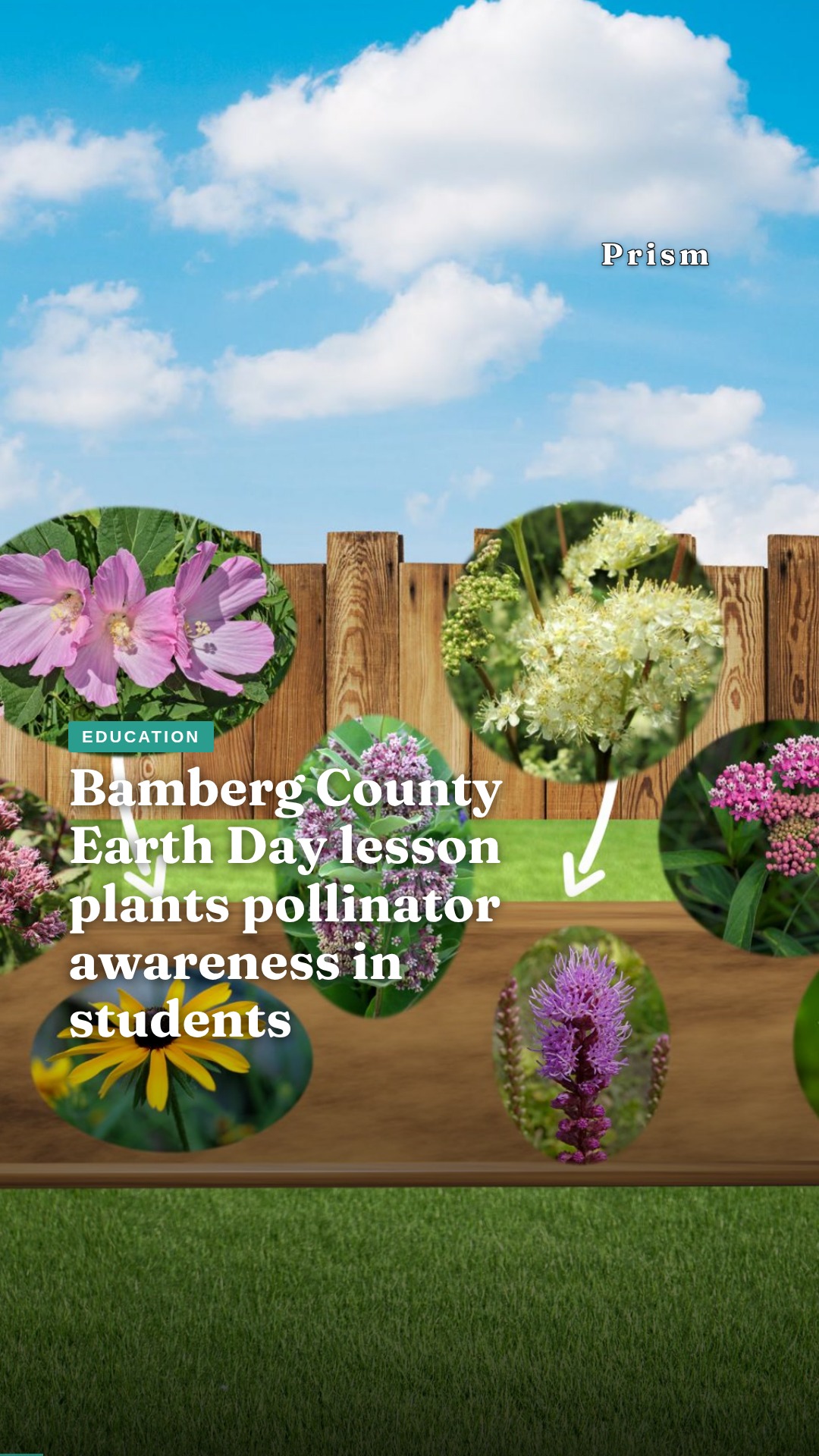 Bamberg County Earth Day lesson plants pollinator awareness in students