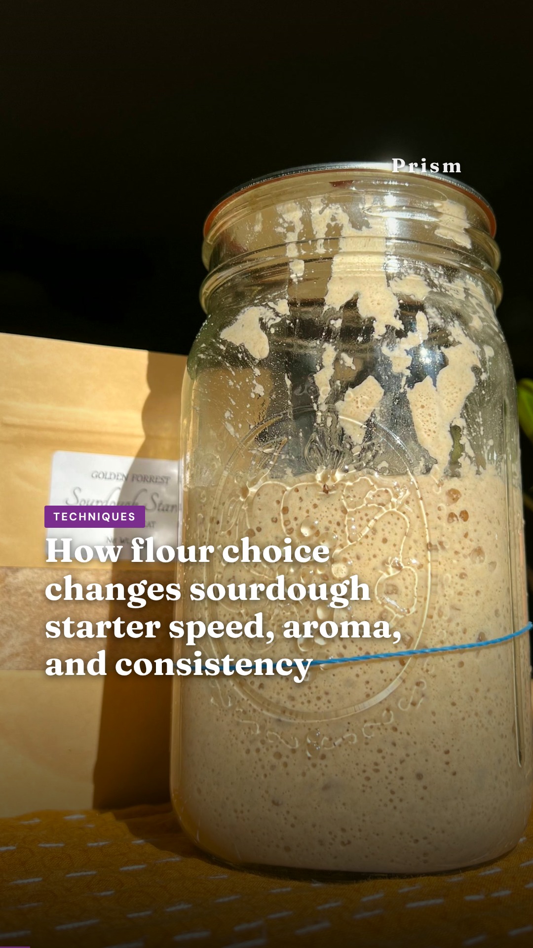 How flour choice changes sourdough starter speed, aroma, and consistency