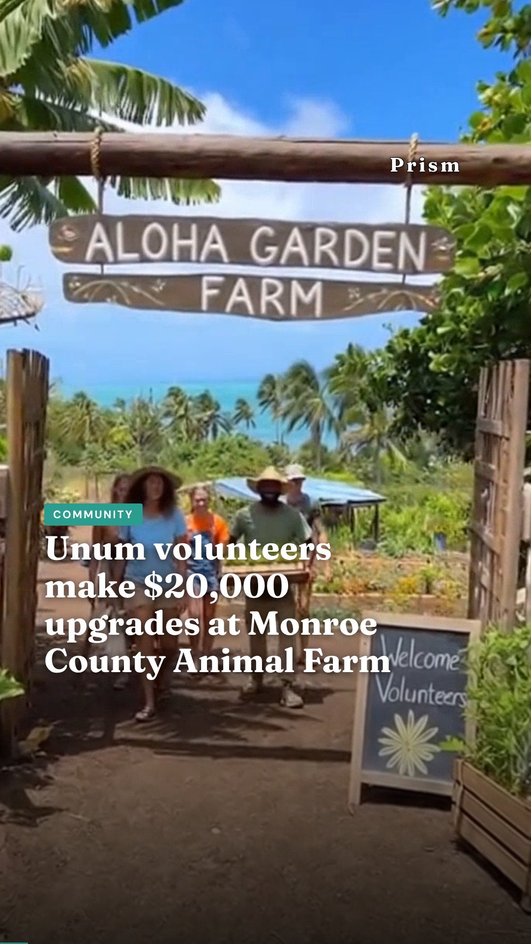 Unum volunteers make $20,000 upgrades at Monroe County Animal Farm