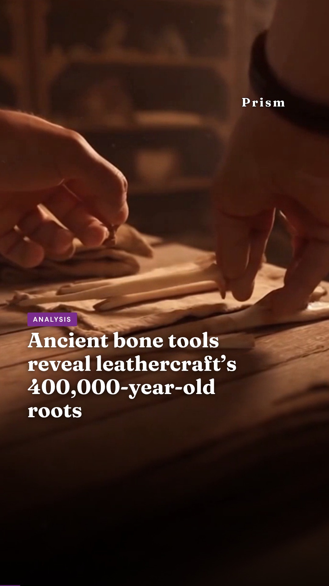Ancient bone tools reveal leathercraft’s 400,000-year-old roots