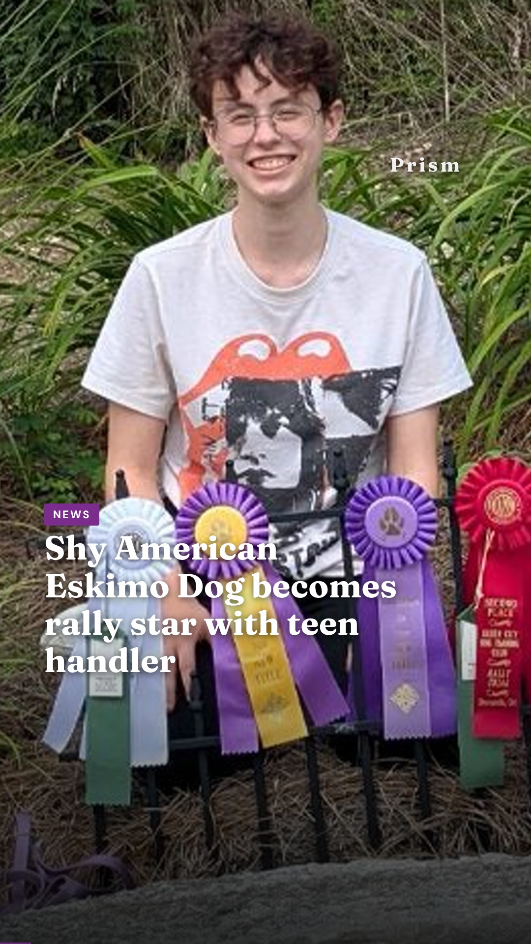 Shy American Eskimo Dog becomes rally star with teen handler