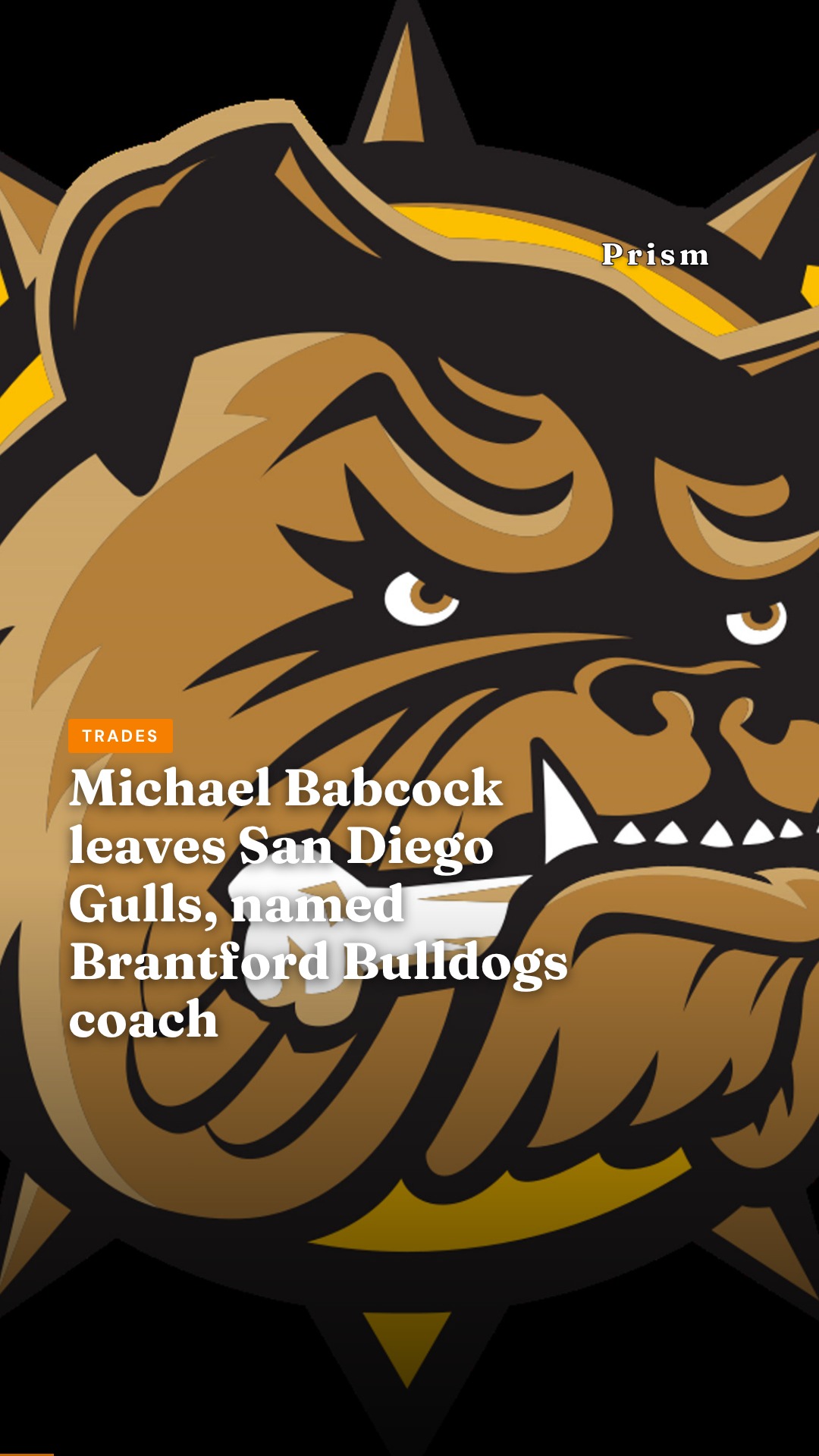 Michael Babcock leaves San Diego Gulls, named Brantford Bulldogs coach