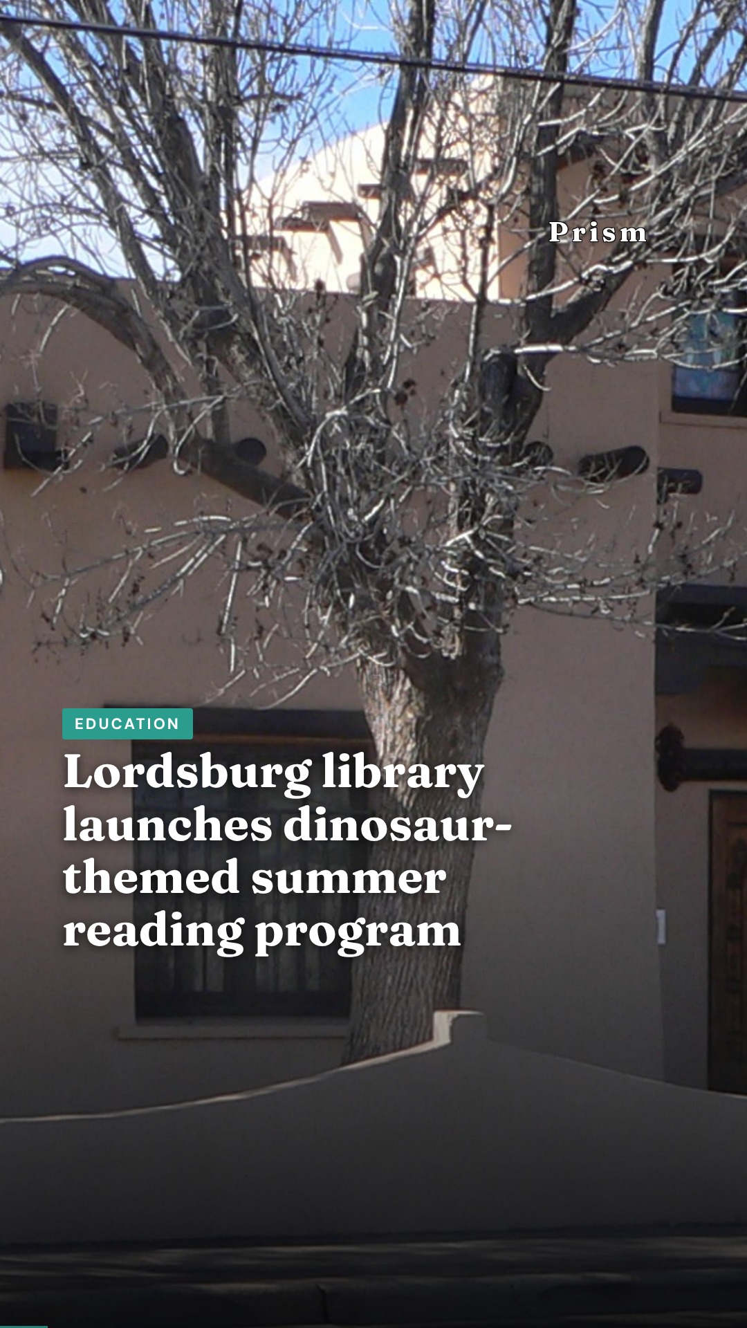Lordsburg library launches dinosaur-themed summer reading program