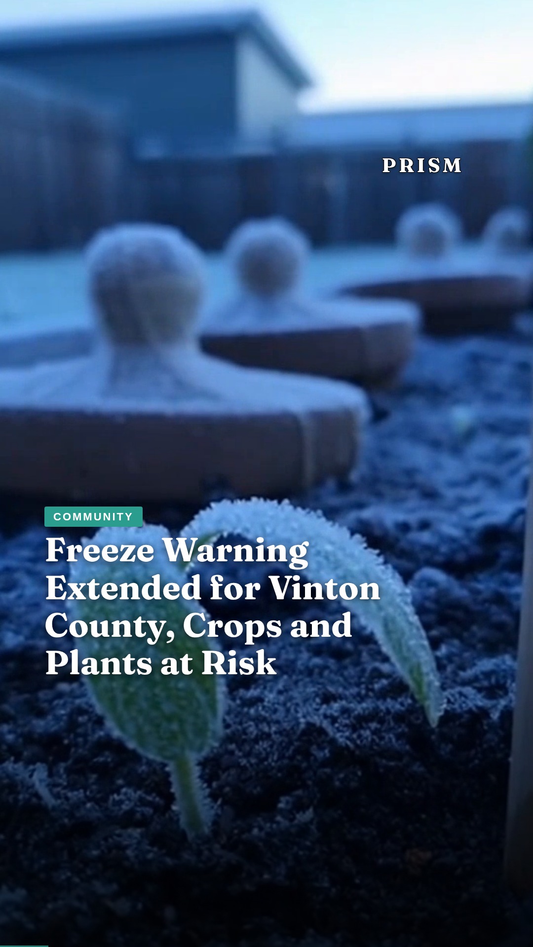 Freeze Warning Extended for Vinton County, Crops and Plants at Risk