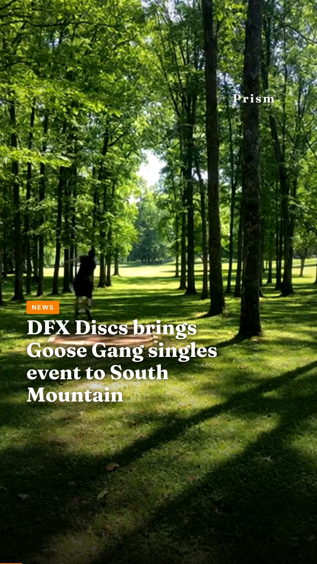 DFX Discs brings Goose Gang singles event to South Mountain