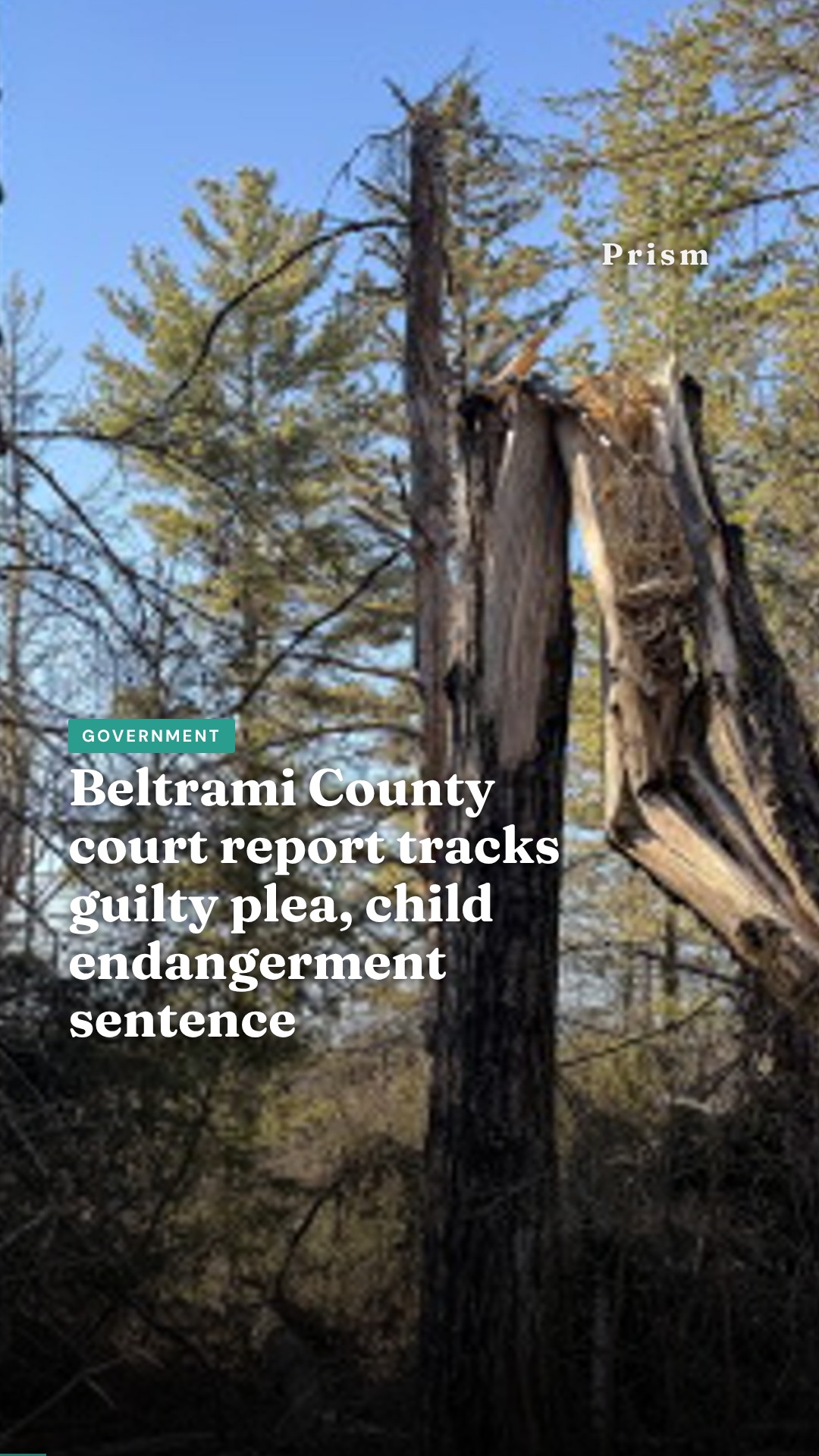 Beltrami County court report tracks guilty plea, child endangerment sentence