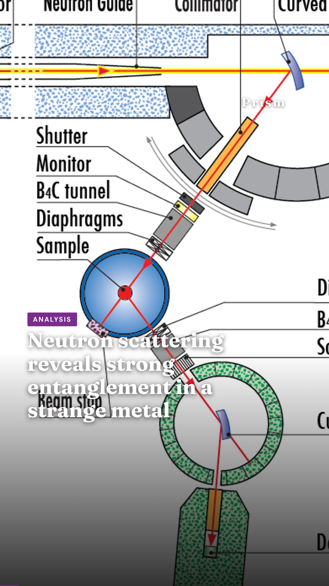 Neutron scattering reveals strong entanglement in a strange metal
