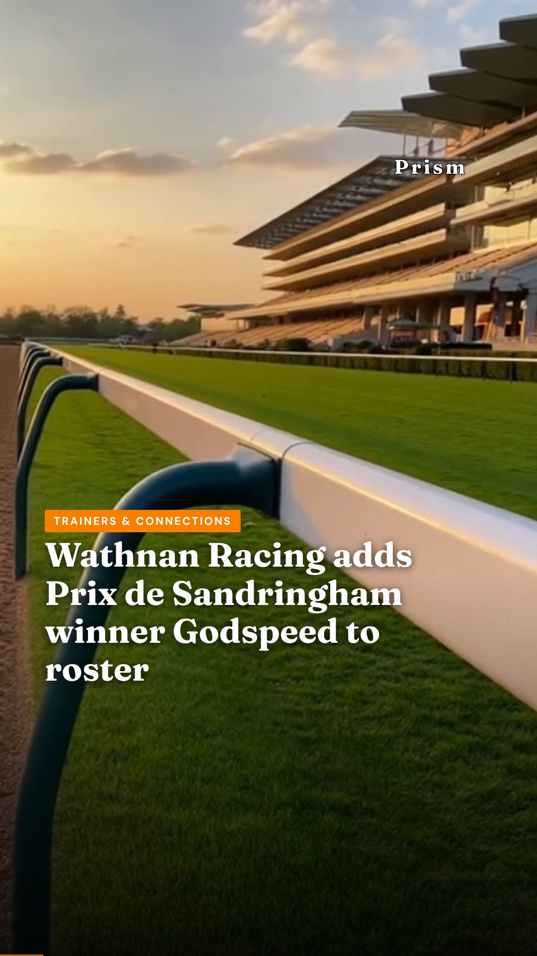 Wathnan Racing adds Prix de Sandringham winner Godspeed to roster