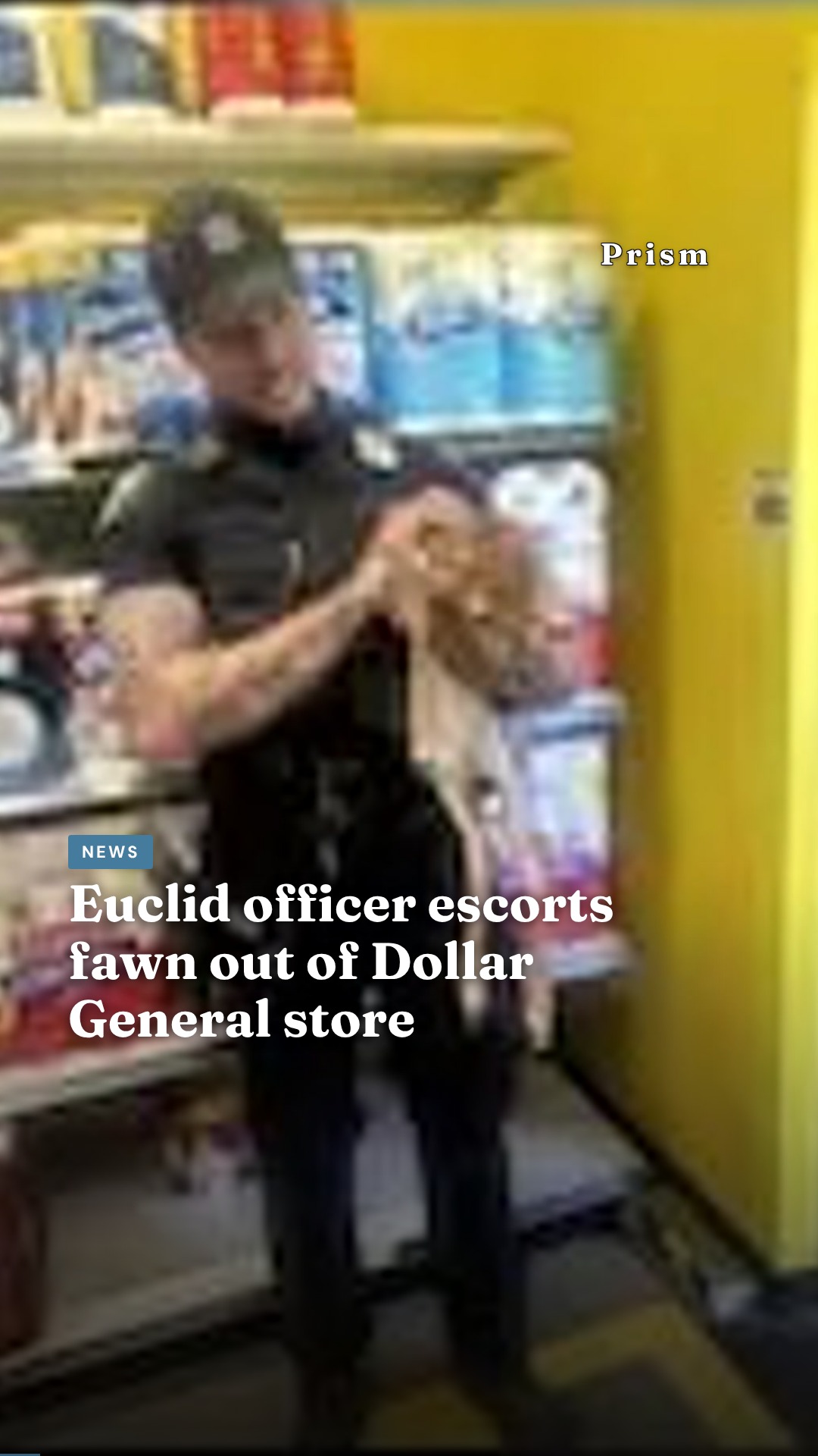 Euclid officer escorts fawn out of Dollar General store