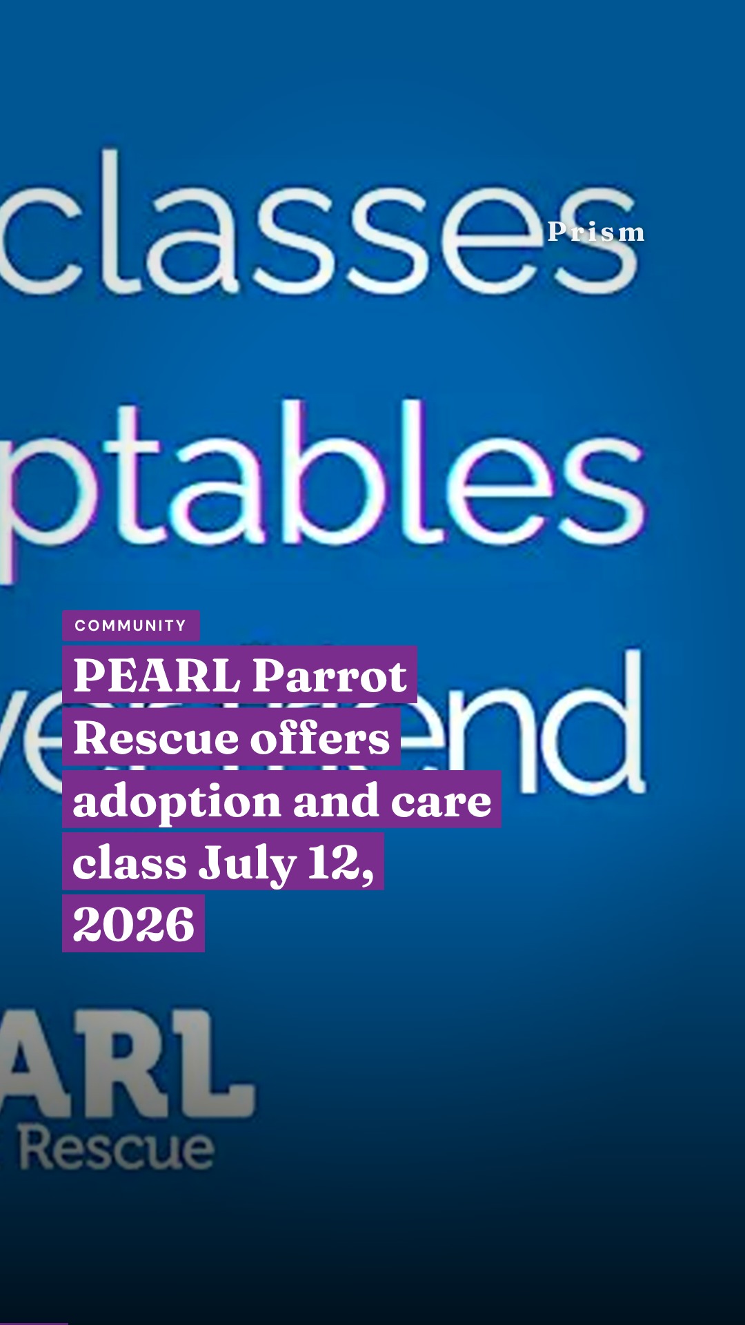 PEARL Parrot Rescue offers adoption and care class July 12, 2026