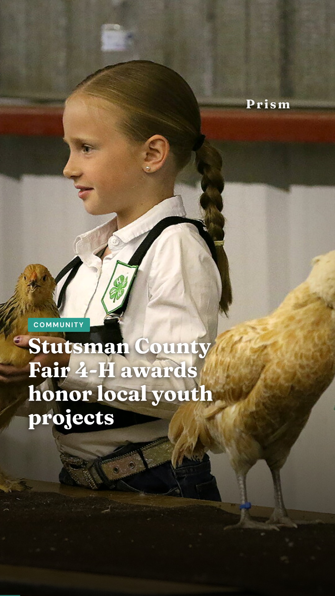 Stutsman County Fair 4-H awards honor local youth projects