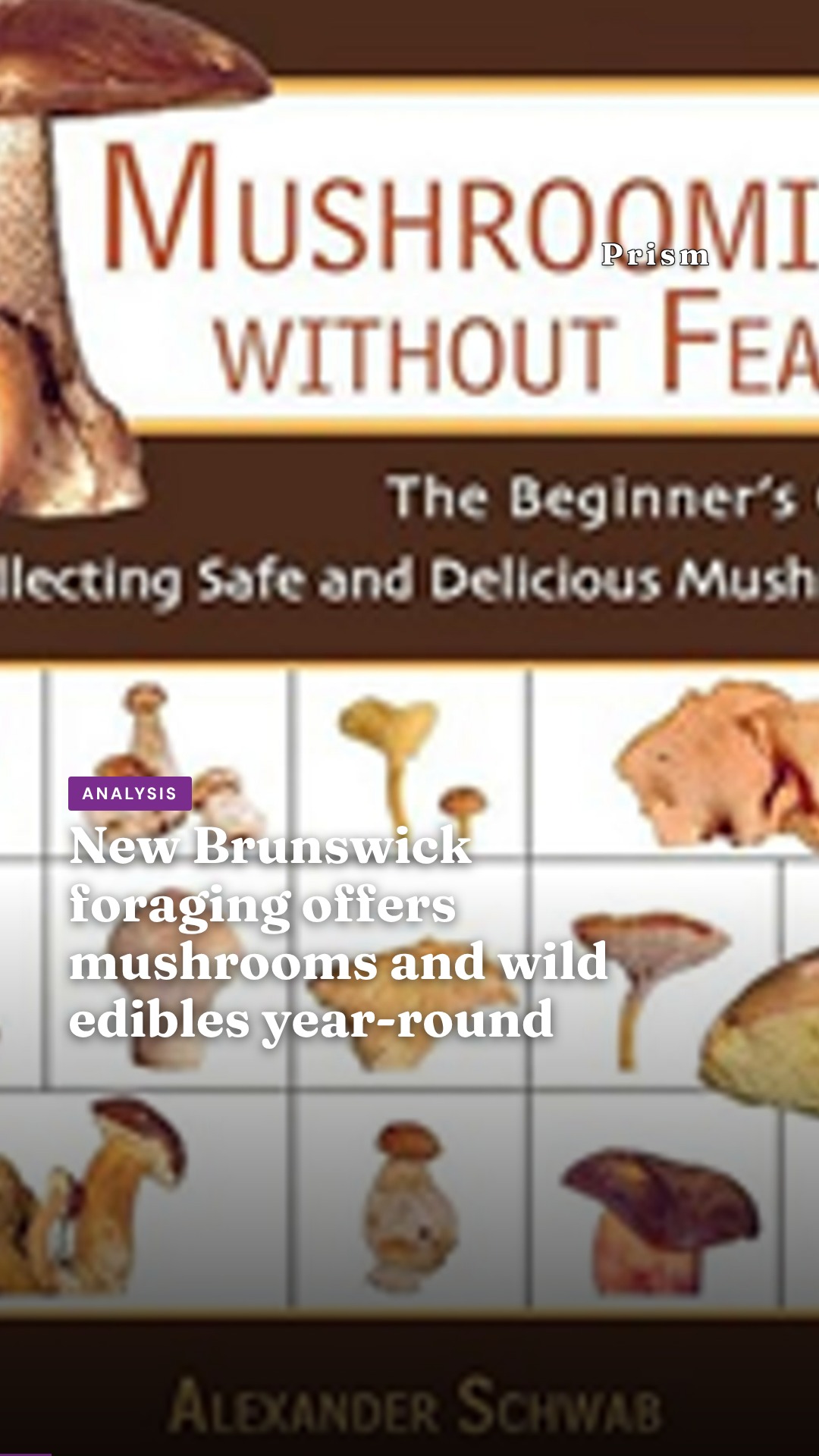 New Brunswick foraging offers mushrooms and wild edibles year-round