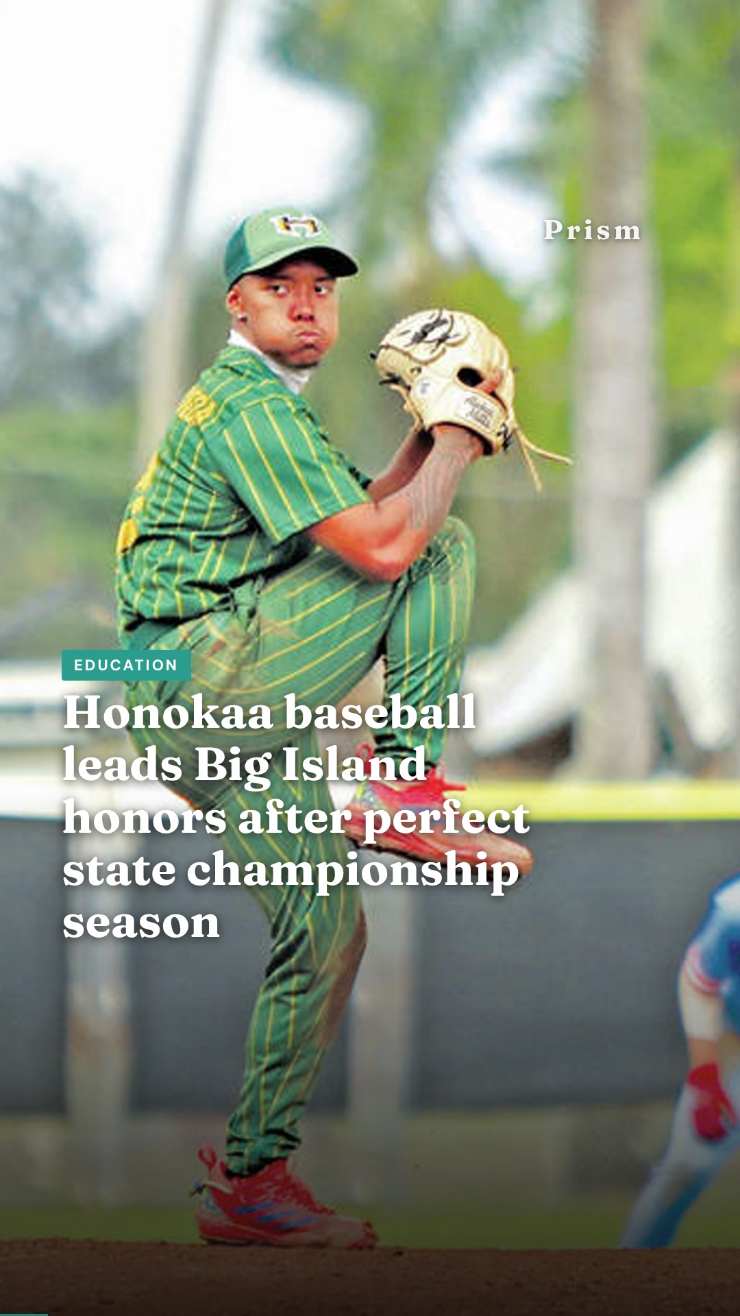 Honokaa baseball leads Big Island honors after perfect state championship season