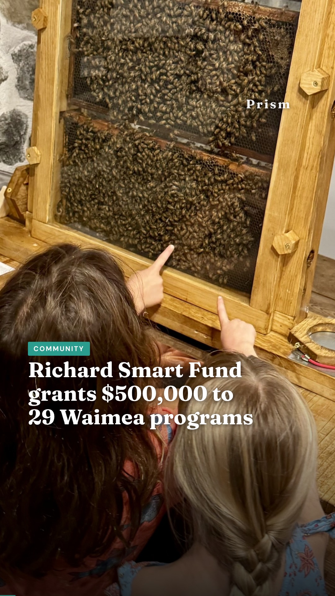 Richard Smart Fund grants $500,000 to 29 Waimea programs