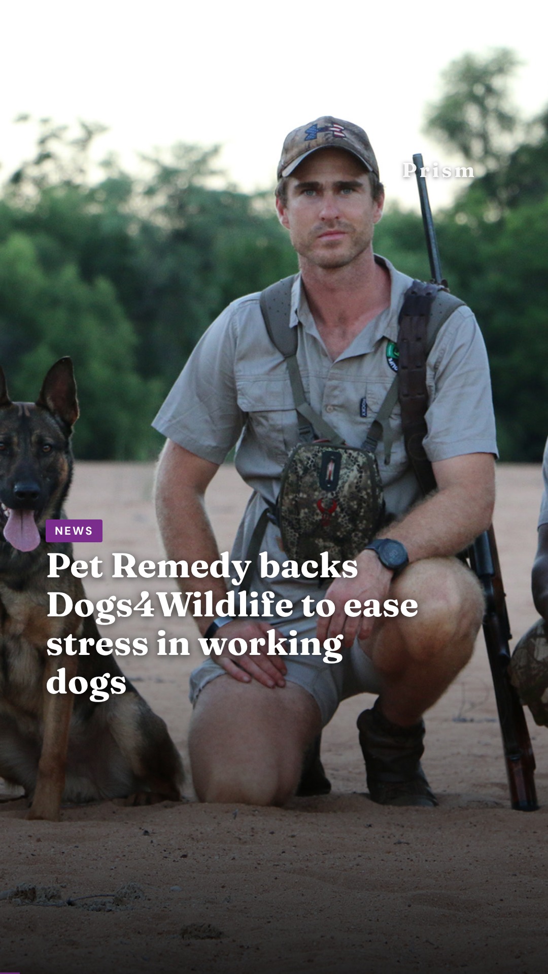 Pet Remedy backs Dogs4Wildlife to ease stress in working dogs