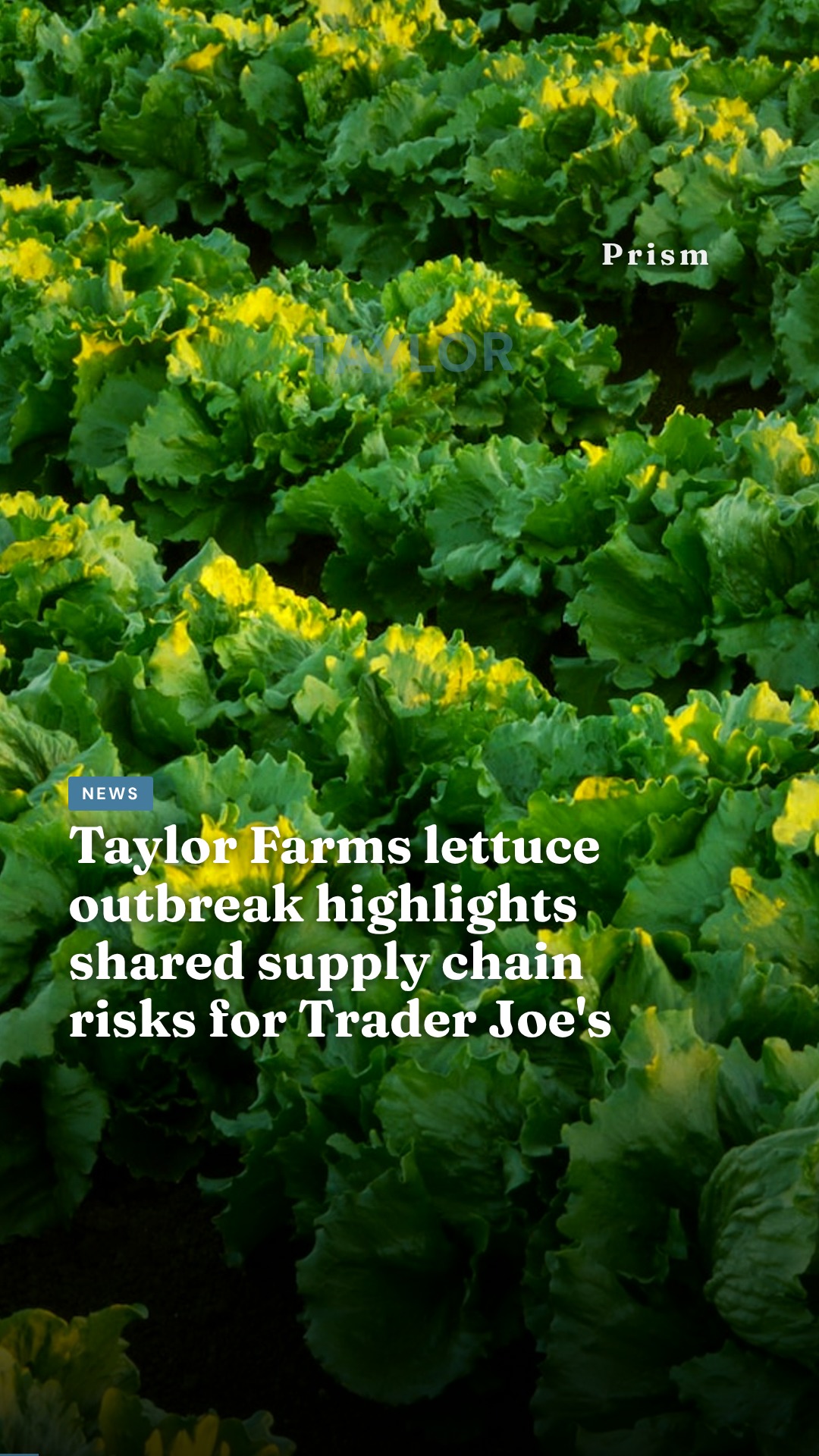 Taylor Farms lettuce outbreak highlights shared supply chain risks for Trader Joe's