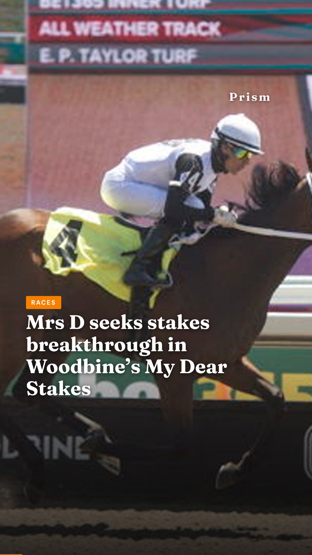 Mrs D seeks stakes breakthrough in Woodbine’s My Dear Stakes