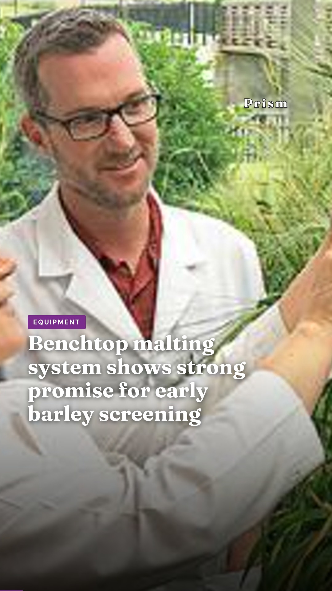 Benchtop malting system shows strong promise for early barley screening
