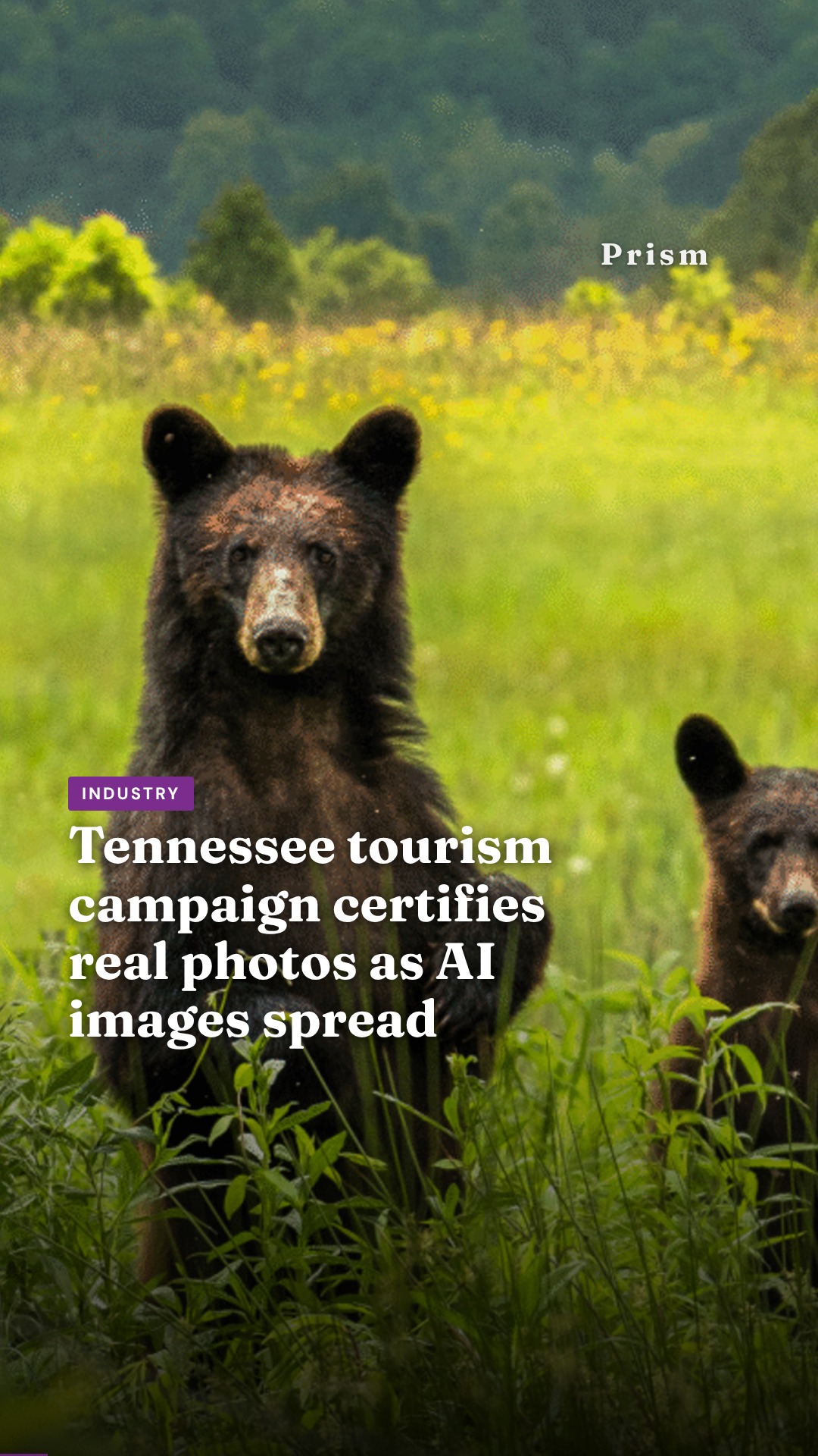 Tennessee tourism campaign certifies real photos as AI images spread