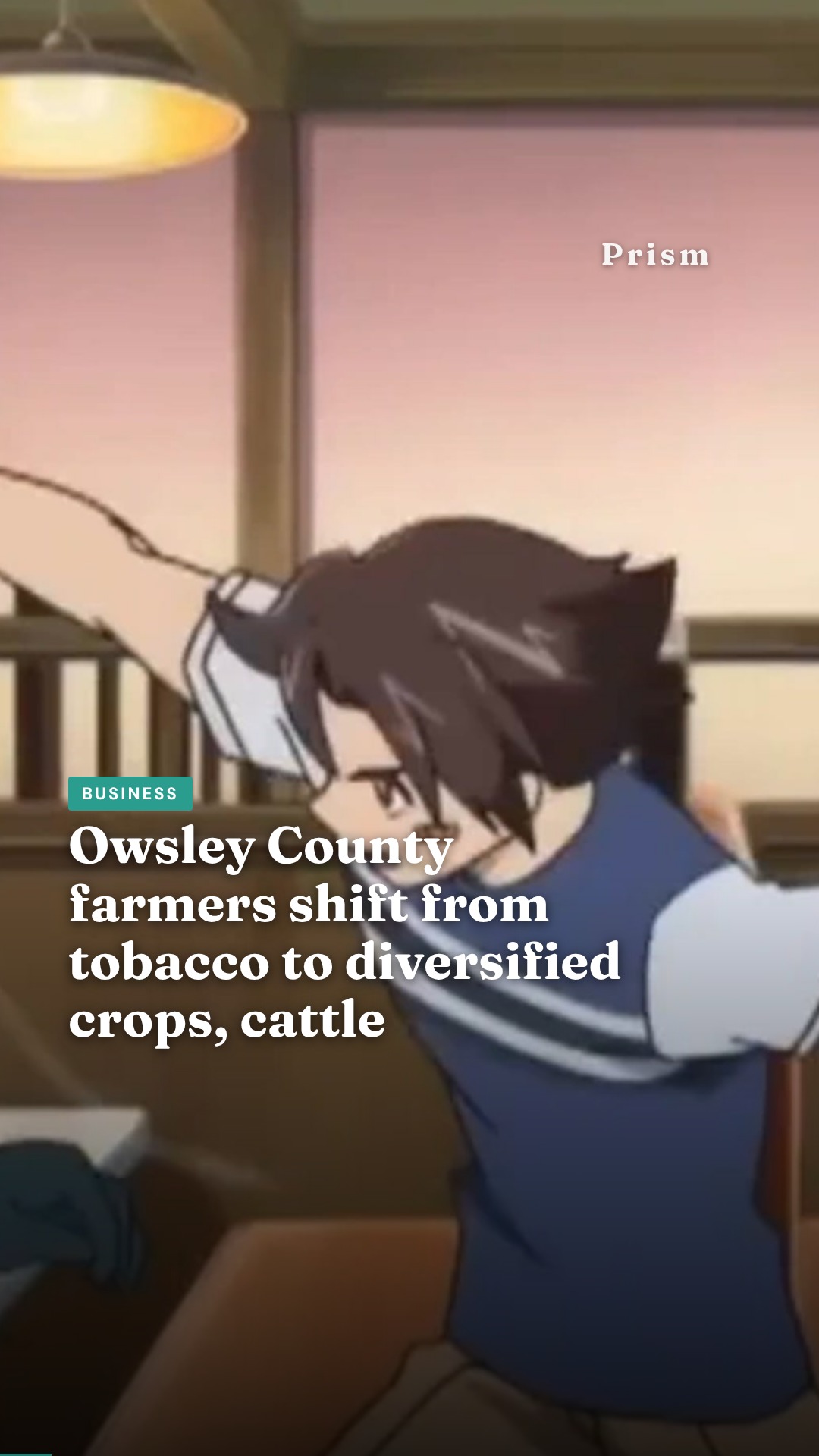 Owsley County farmers shift from tobacco to diversified crops, cattle