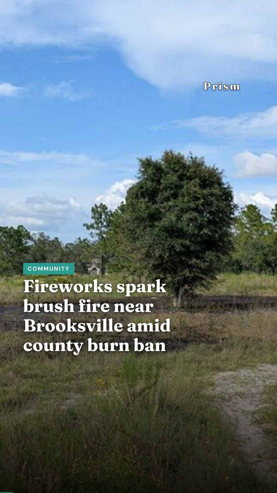 Fireworks spark brush fire near Brooksville amid county burn ban