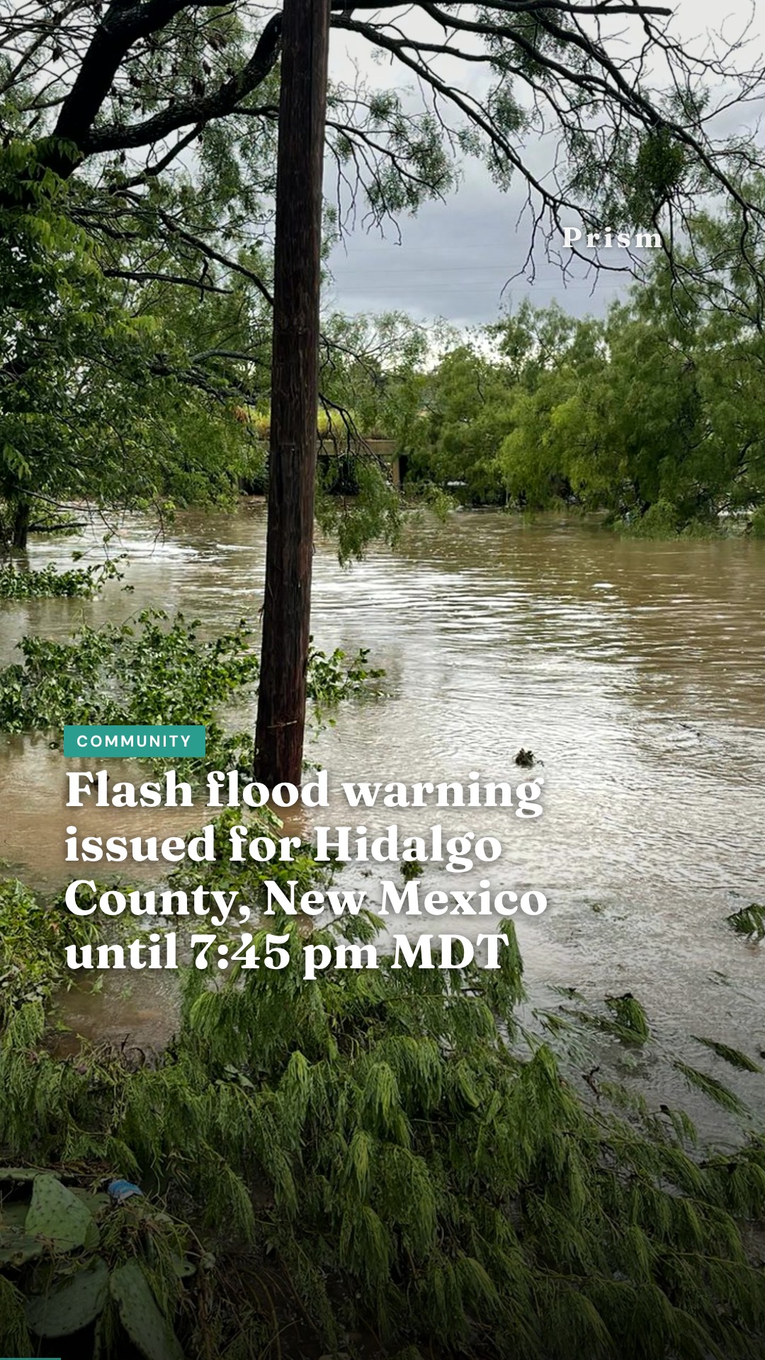Flash flood warning issued for Hidalgo County, New Mexico until 7:45 pm MDT
