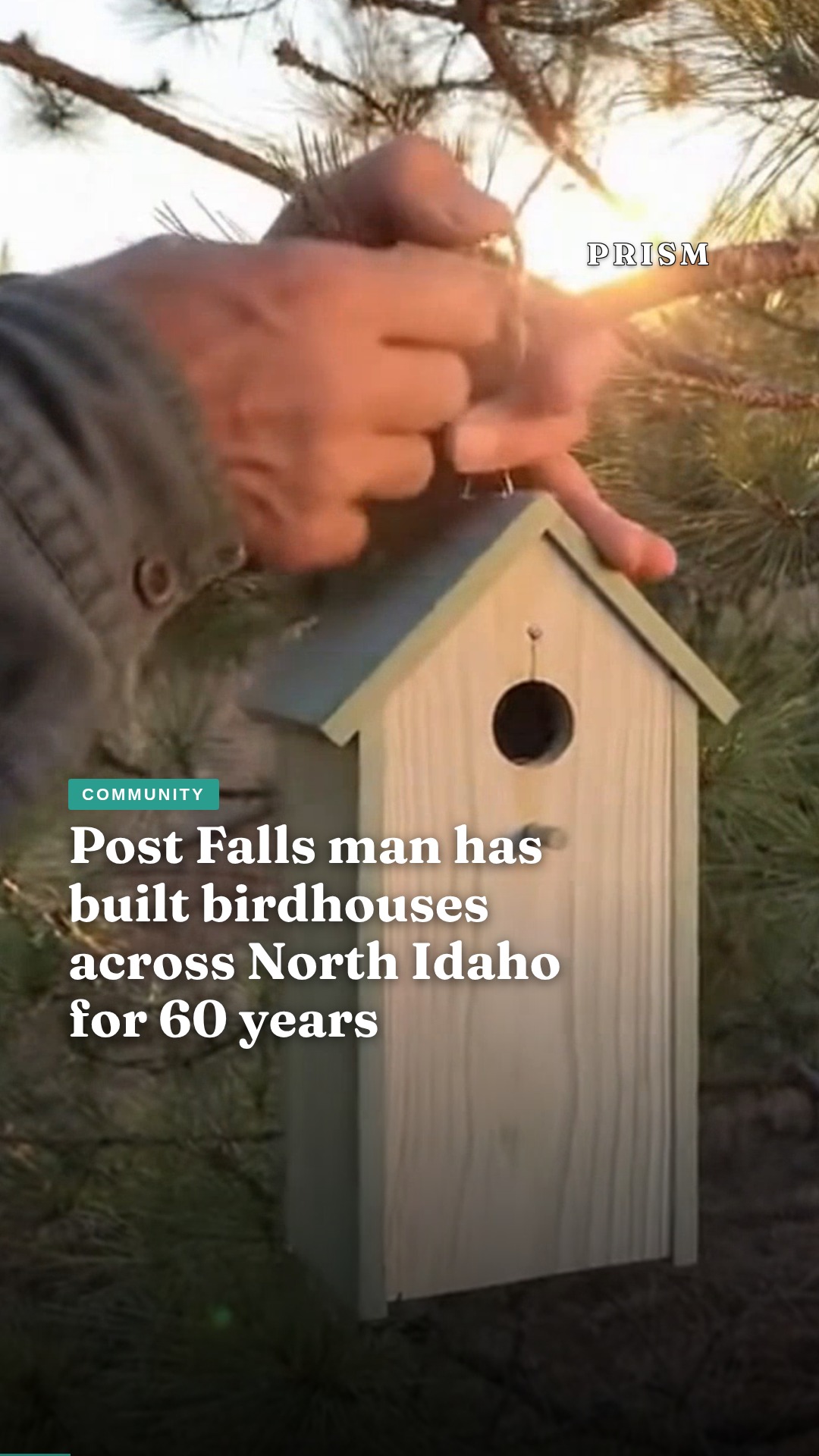 Post Falls man has built birdhouses across North Idaho for 60 years
