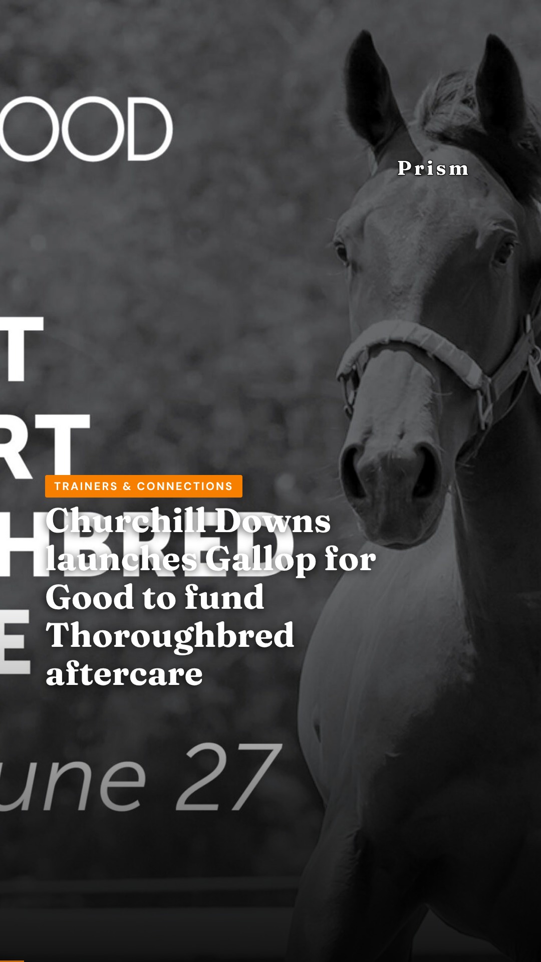 Churchill Downs launches Gallop for Good to fund Thoroughbred aftercare