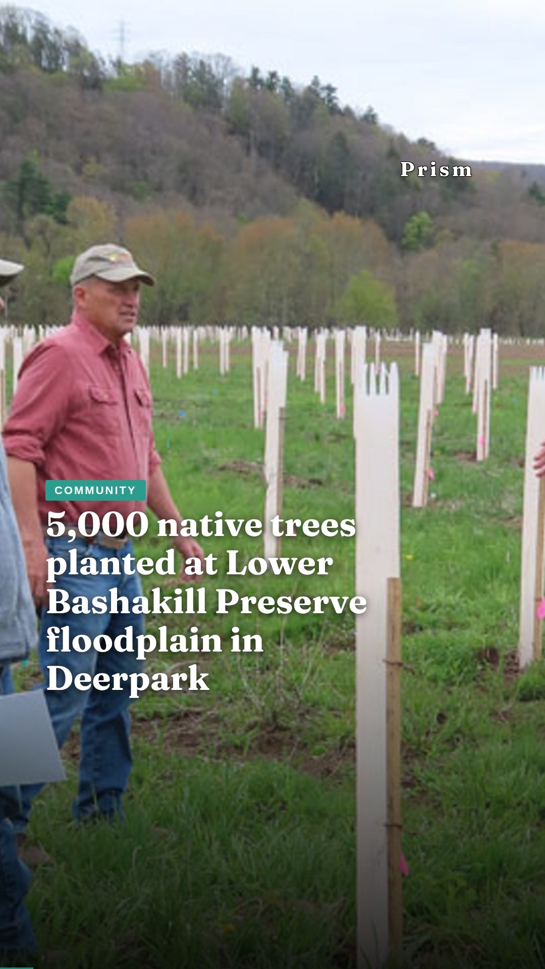 5,000 native trees planted at Lower Bashakill Preserve floodplain in Deerpark