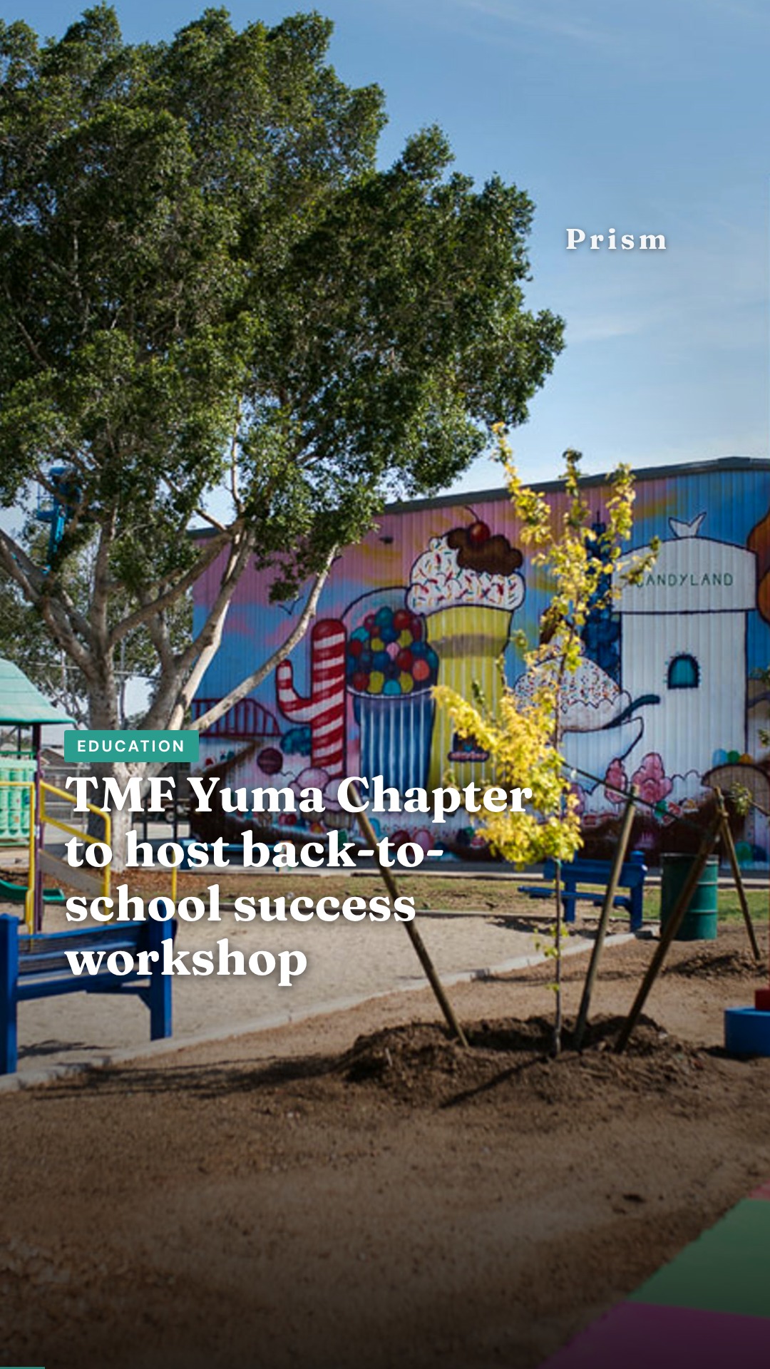 TMF Yuma Chapter to host back-to-school success workshop