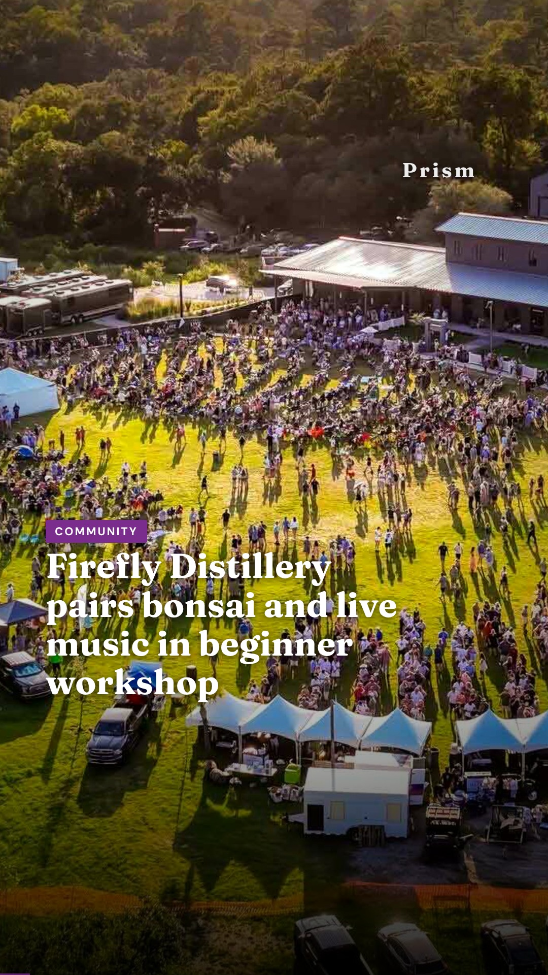 Firefly Distillery pairs bonsai and live music in beginner workshop
