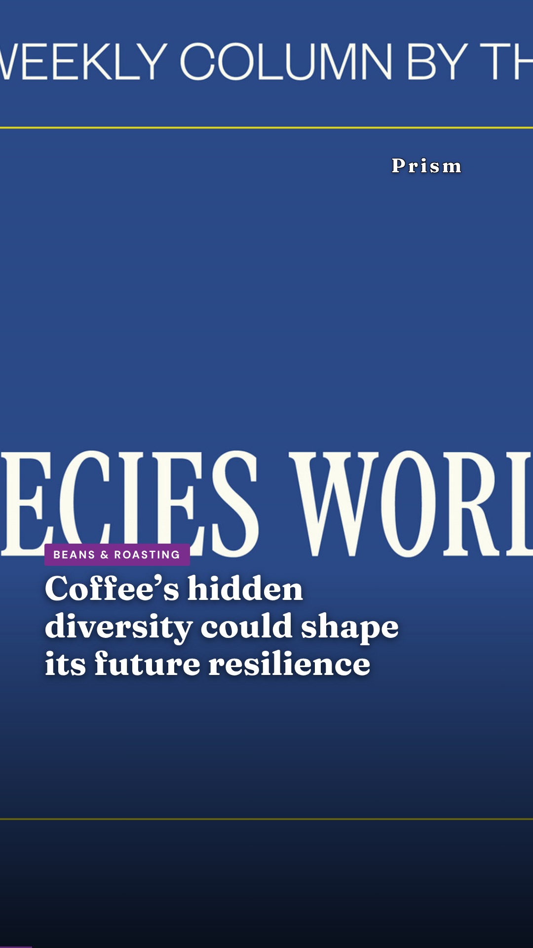 Coffee’s hidden diversity could shape its future resilience