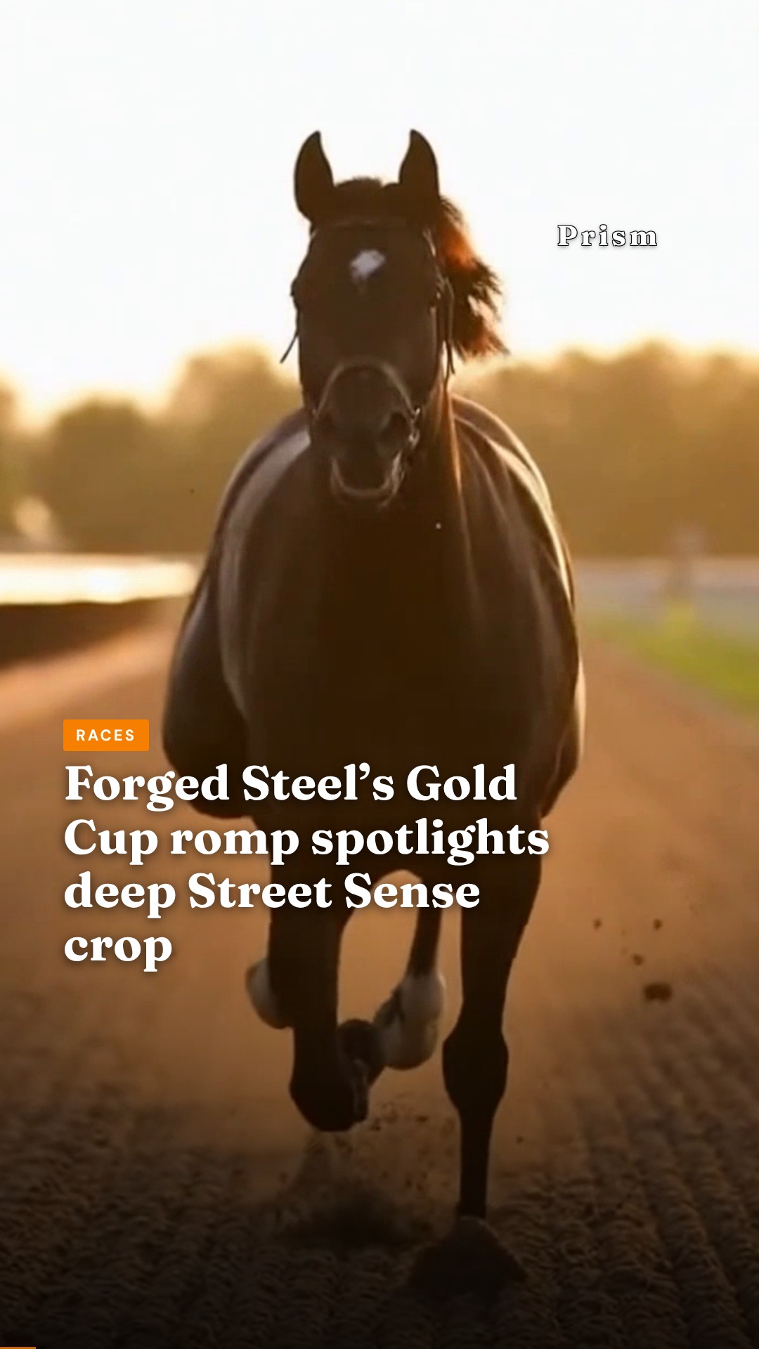 Forged Steel’s Gold Cup romp spotlights deep Street Sense crop