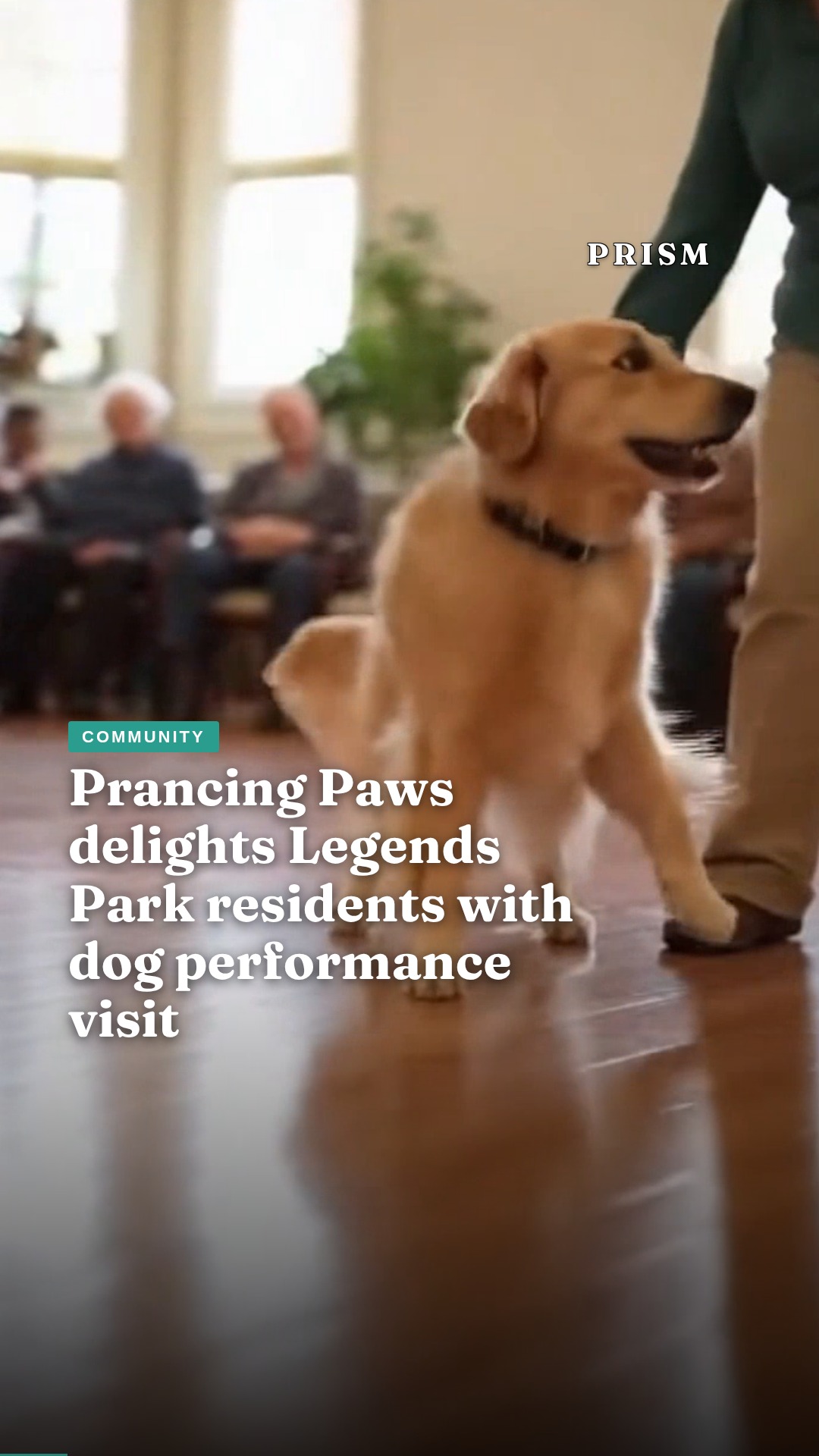 Prancing Paws delights Legends Park residents with dog performance visit