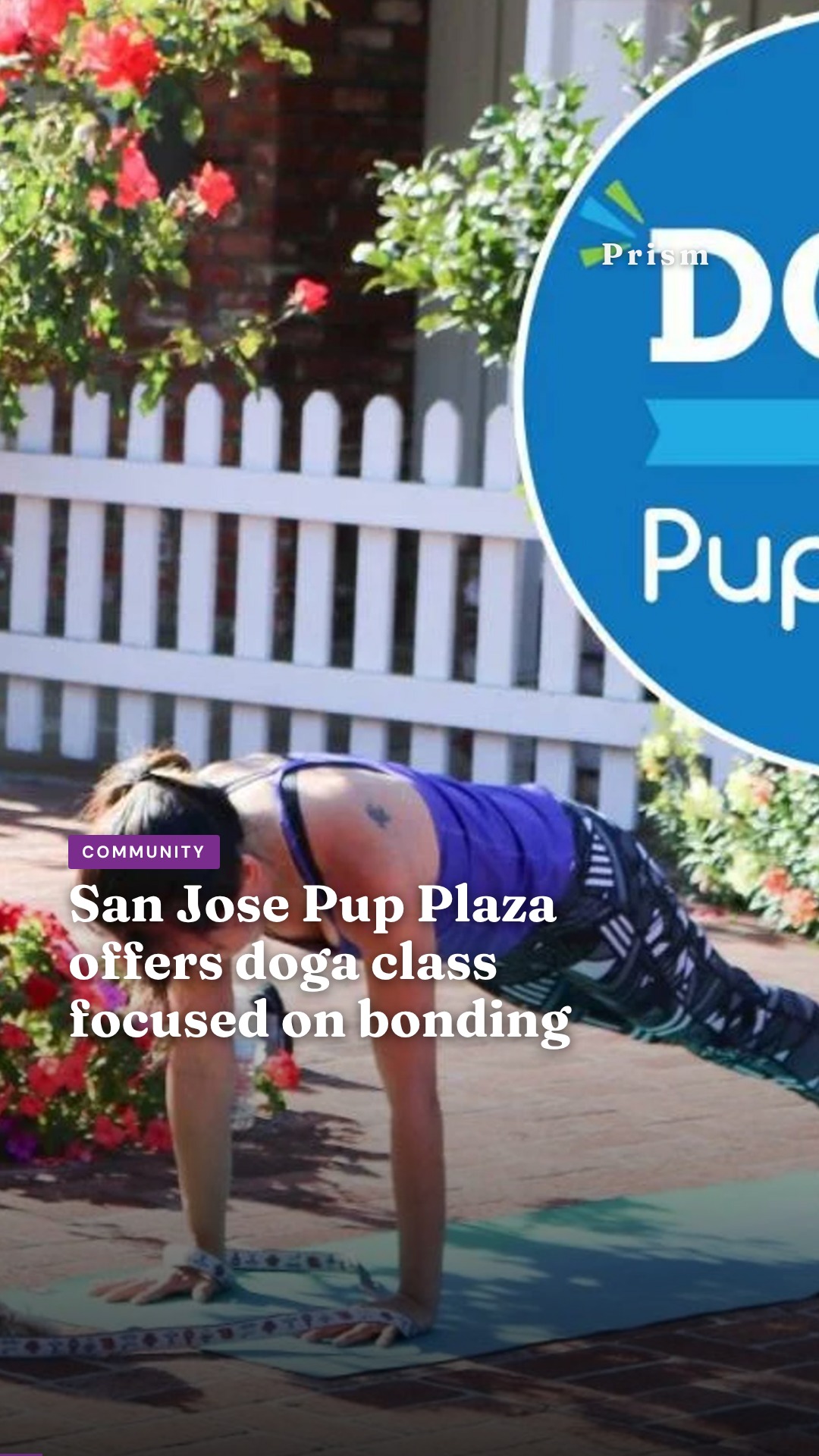 San Jose Pup Plaza offers doga class focused on bonding