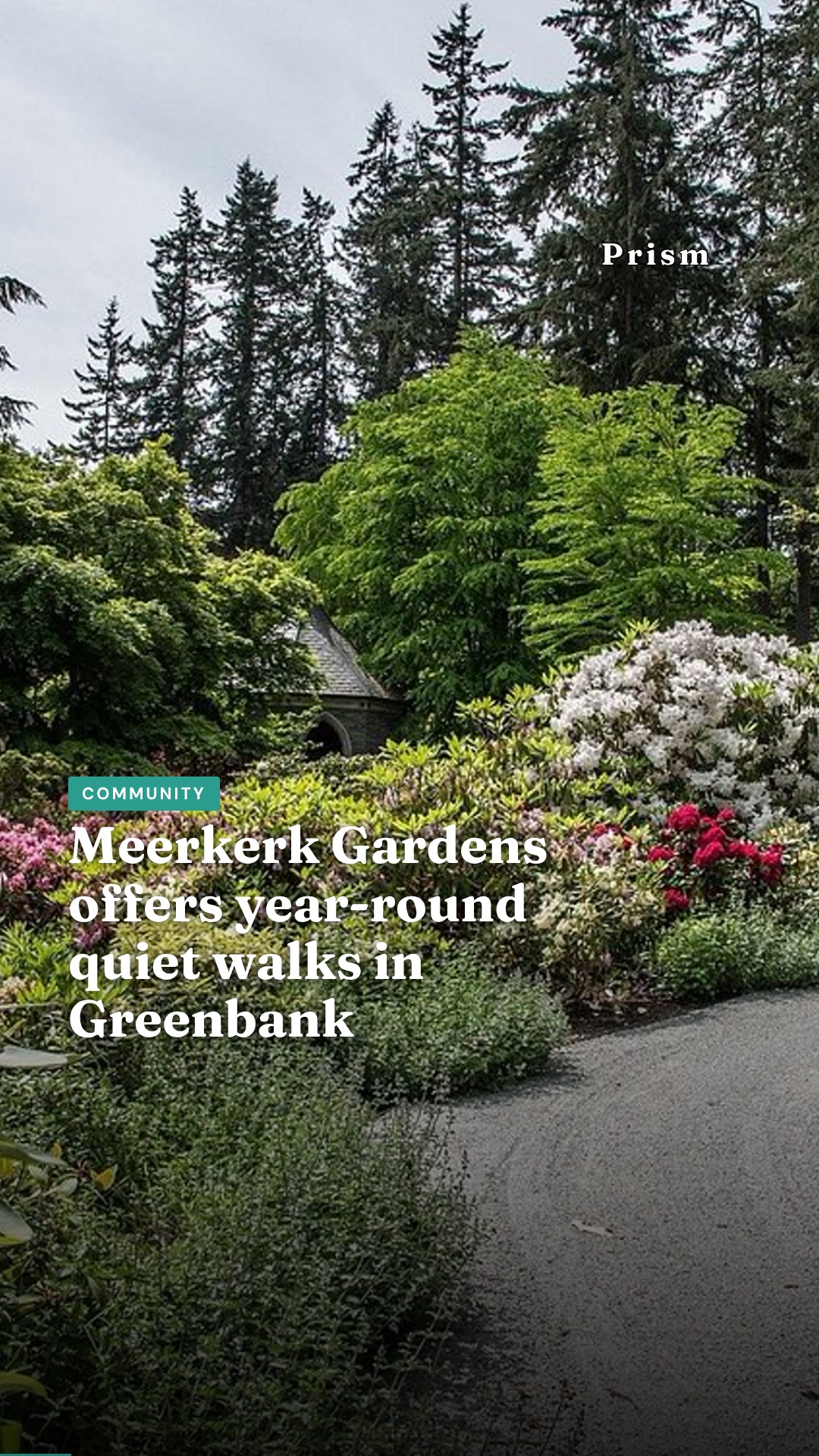 Meerkerk Gardens offers year-round quiet walks in Greenbank
